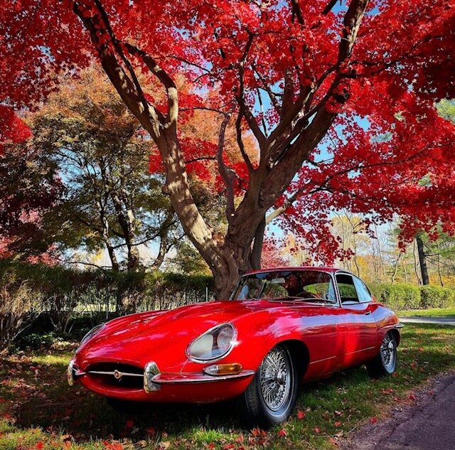 1963 Jaguar E-Type Coupe, Series 1