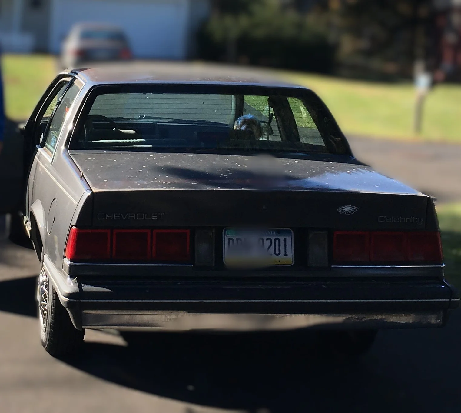 1986 Chevy Celebrity 4.JPG