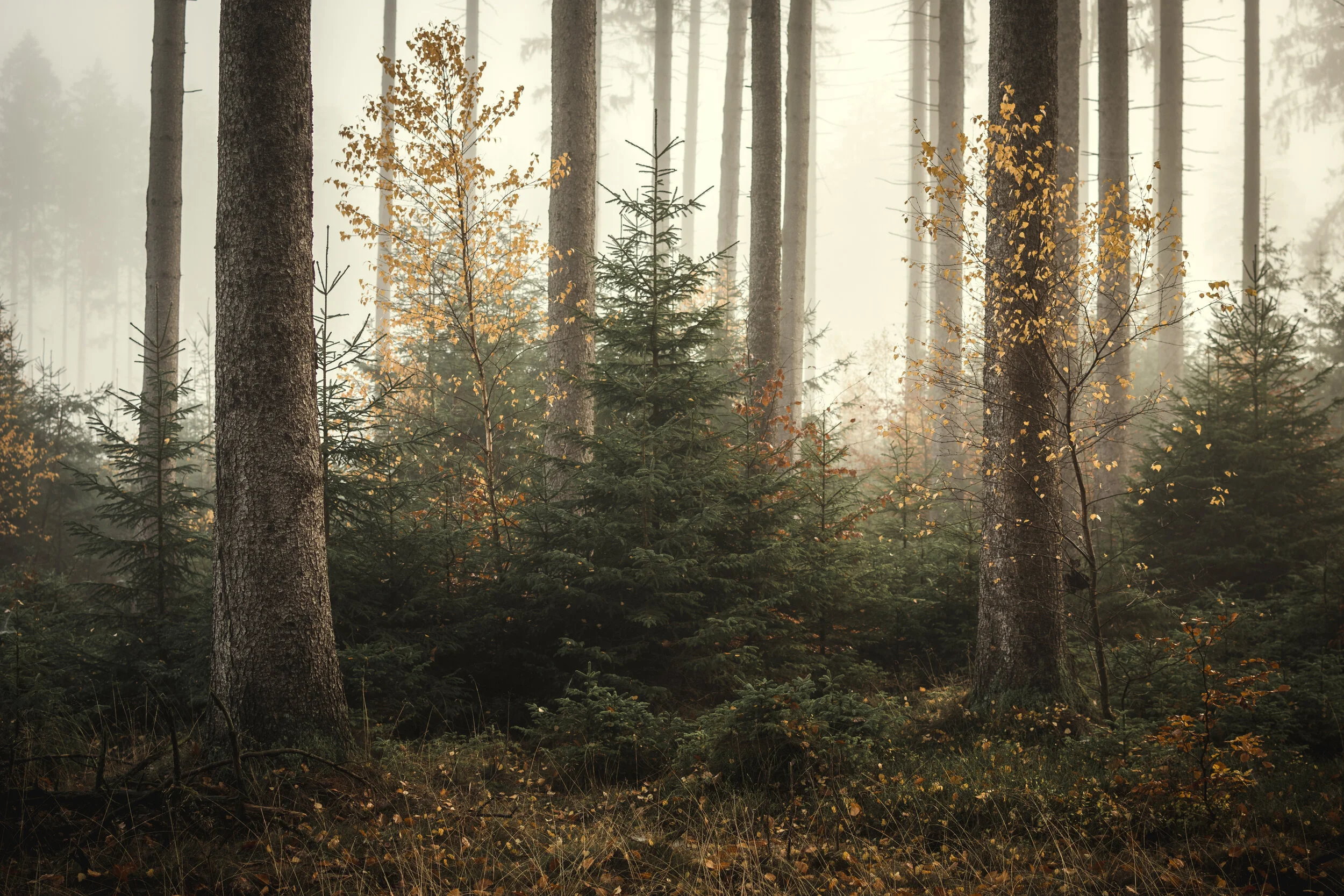 Hunting with Tommy: Part 1