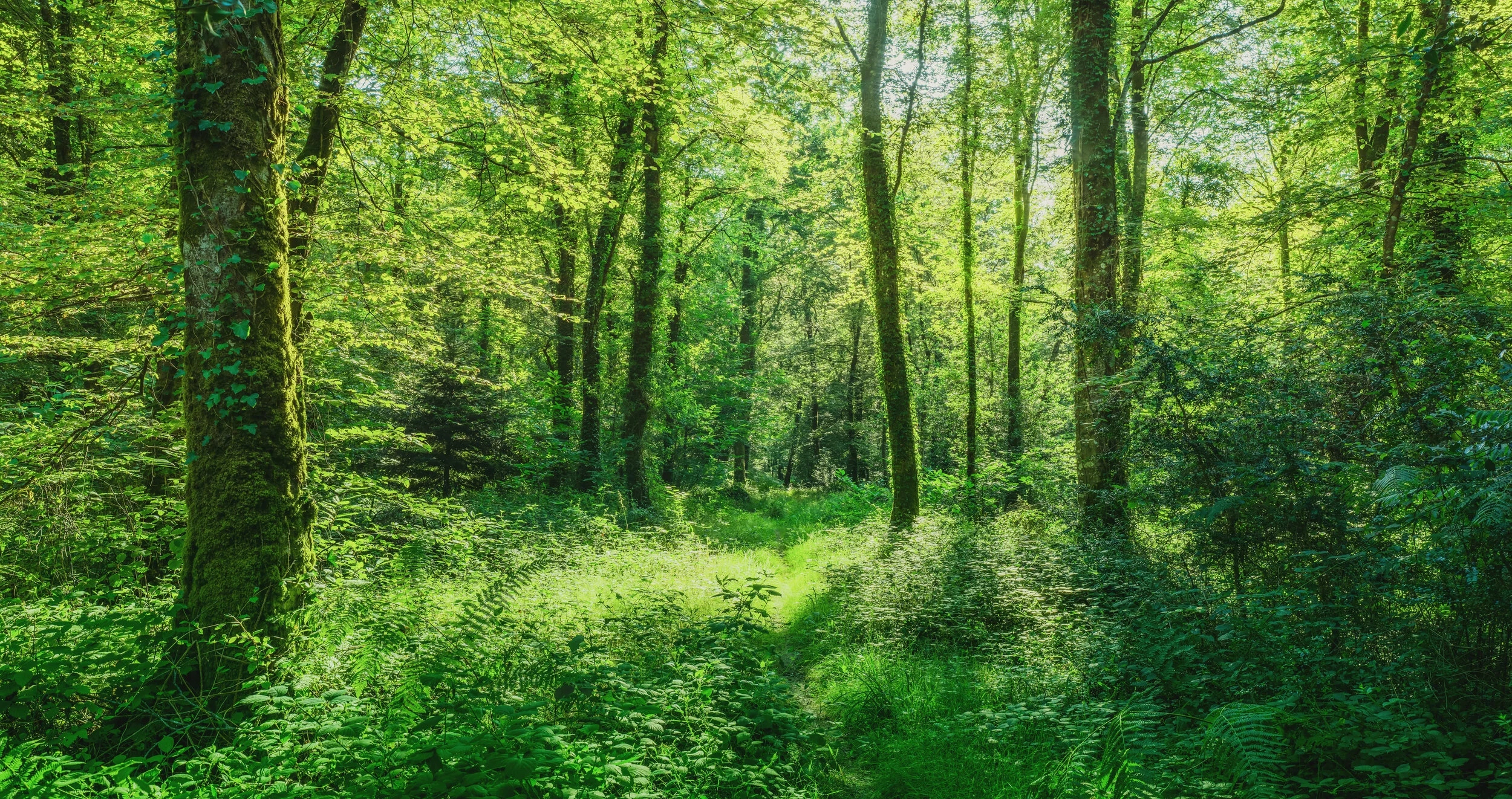 Moving from Movement