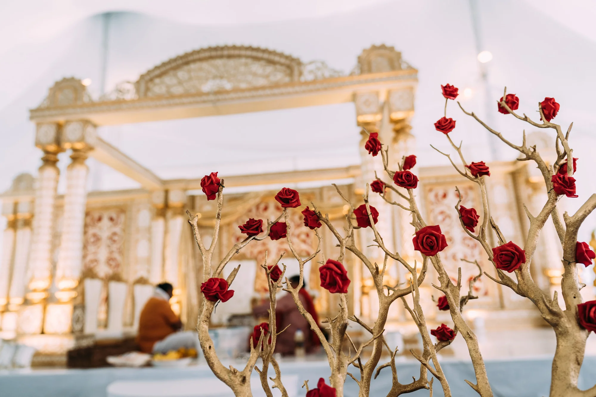 2018-CN-Wedding-Previews-40.jpg