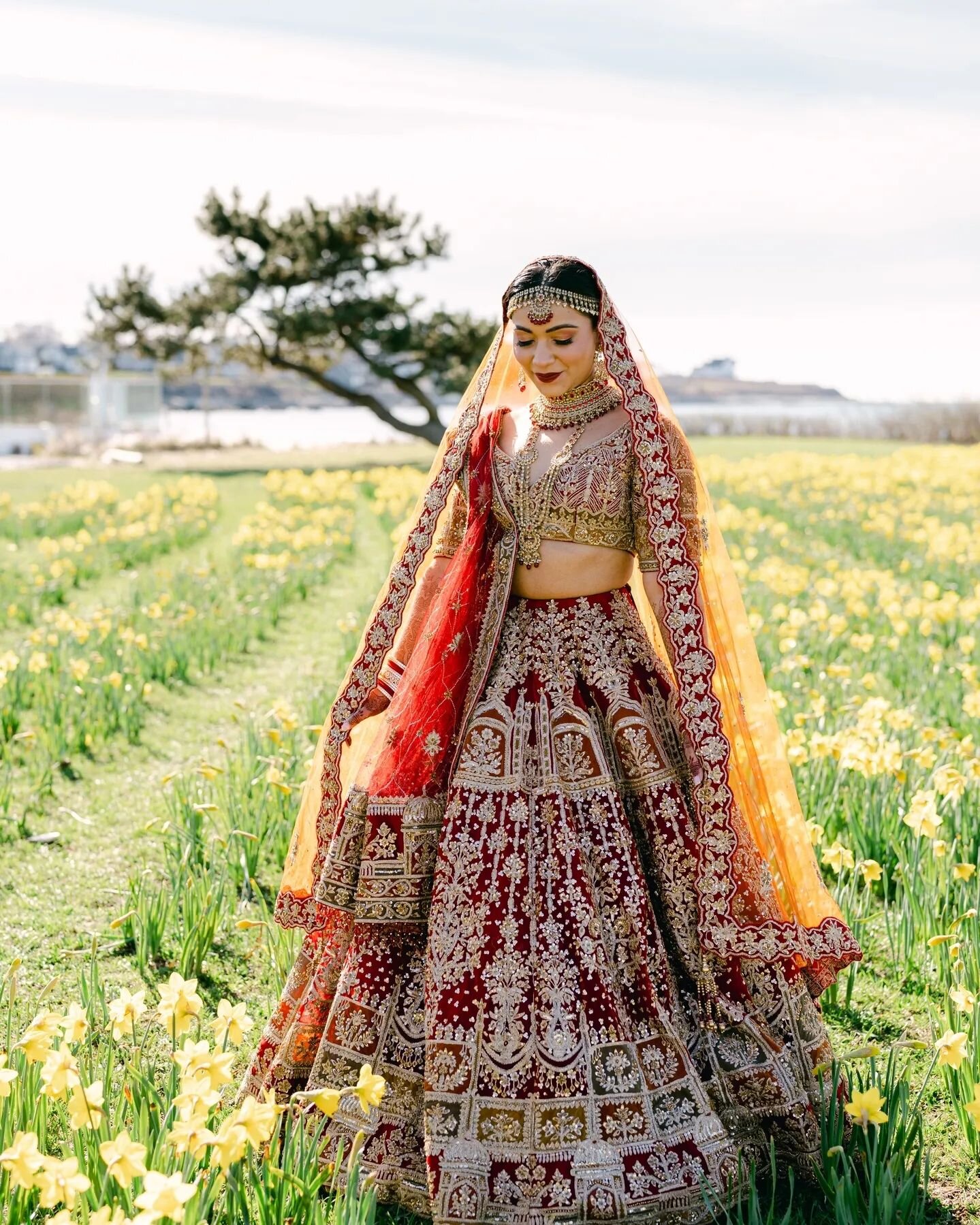 Every April, 1.3 million daffodils blooms over Newport. This year, we were lucky enough to photograph this beautiful couple among a field of stunning daffodils. ⁠
⁠
⁠
⁠
⁠
#indianwedding #desiwedding #indianweddingphotographer #IndianWeddings #indianw