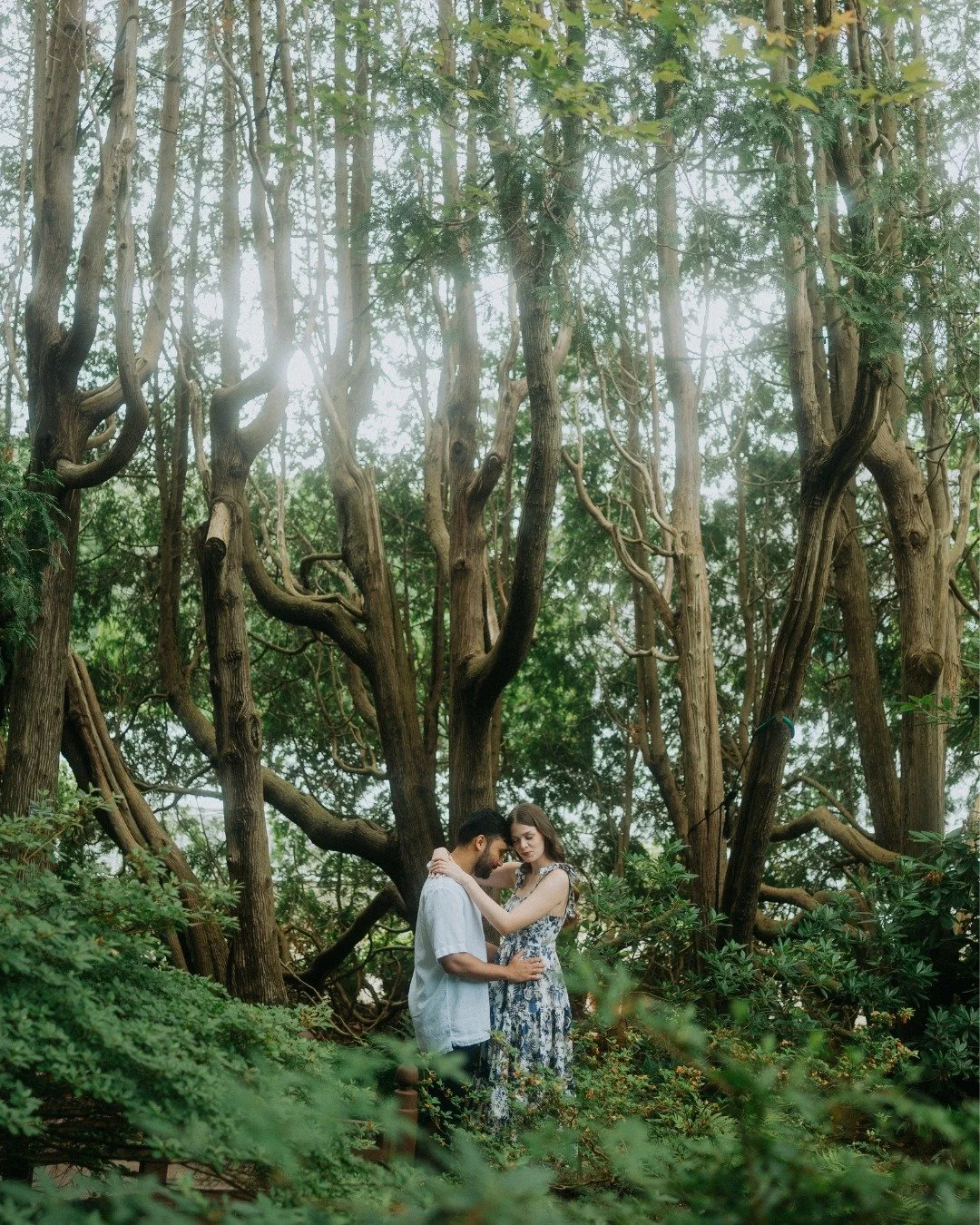 Is this place even real? Honestly, it felt like we wandered onto another planet&mdash;just us, a bunch of wild, winding trees, and the occasional &ldquo;wait, is that even possible?&rdquo; moment. The Japanese Garden at Fuller Gardens totally deliver