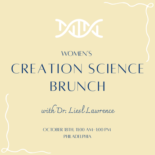 creation brunch (2).png