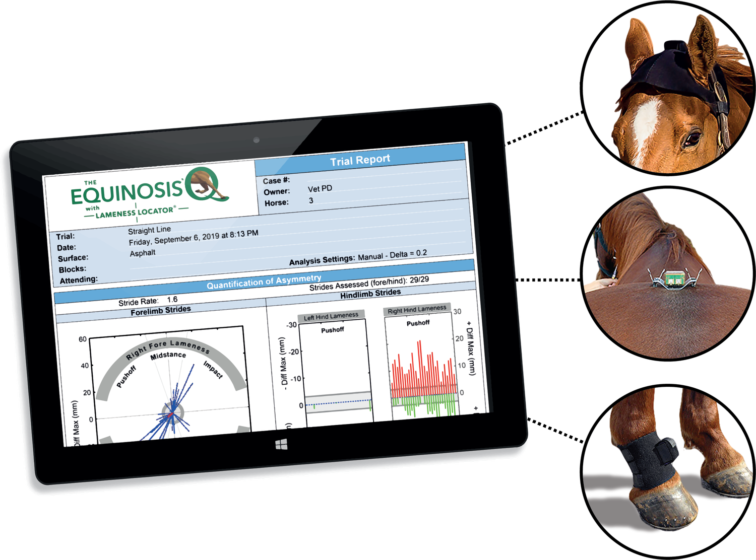 Equinosis Lameness Locator — Forward Equine, LLC