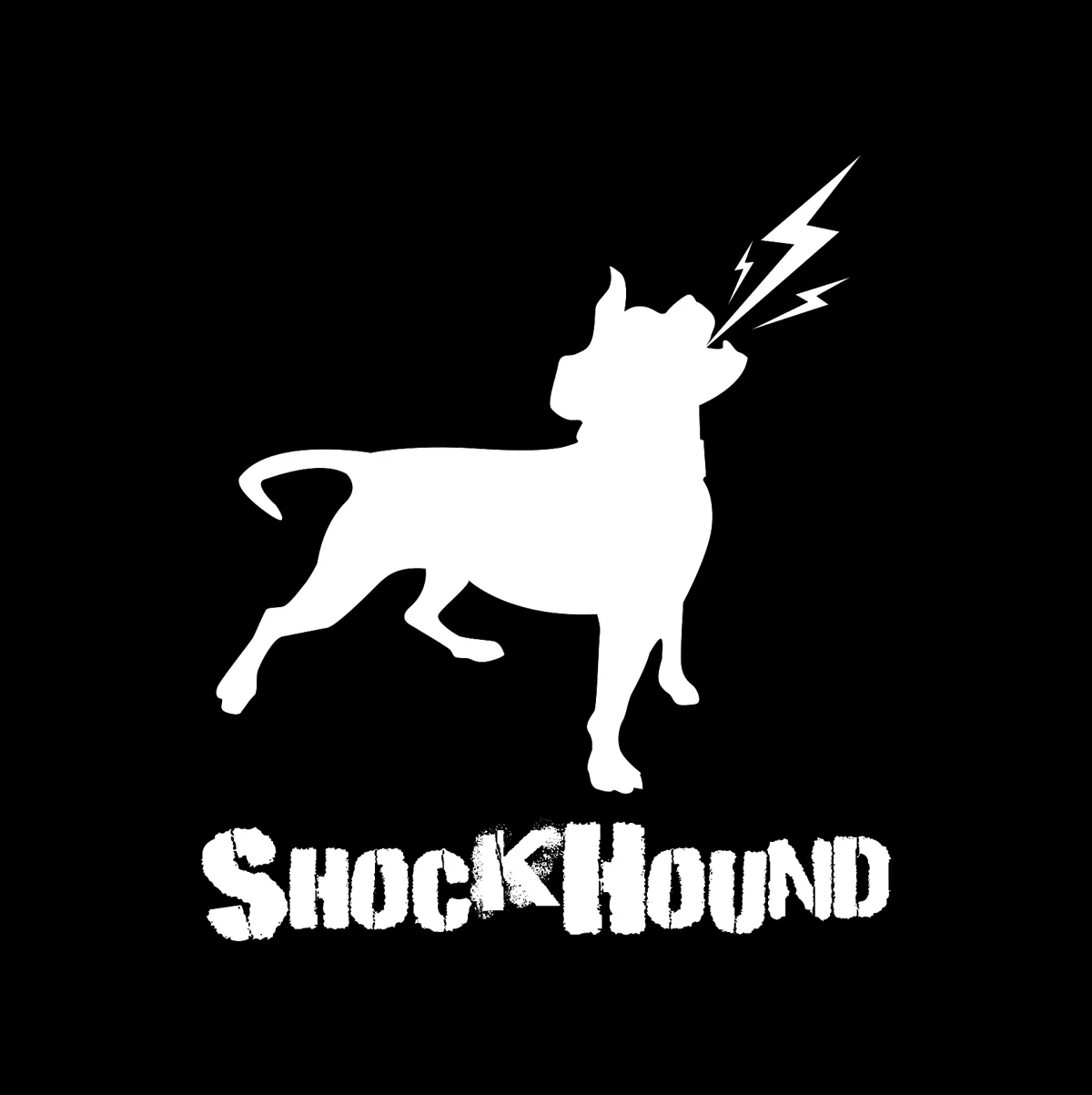 LOGO 17.jpg