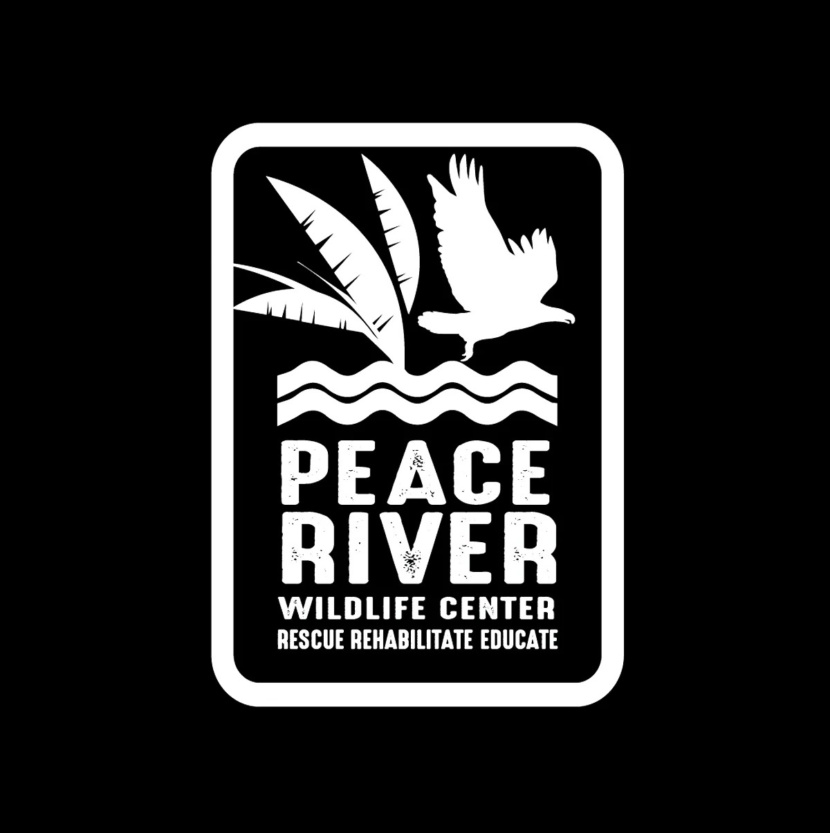 LOGO 20.jpg