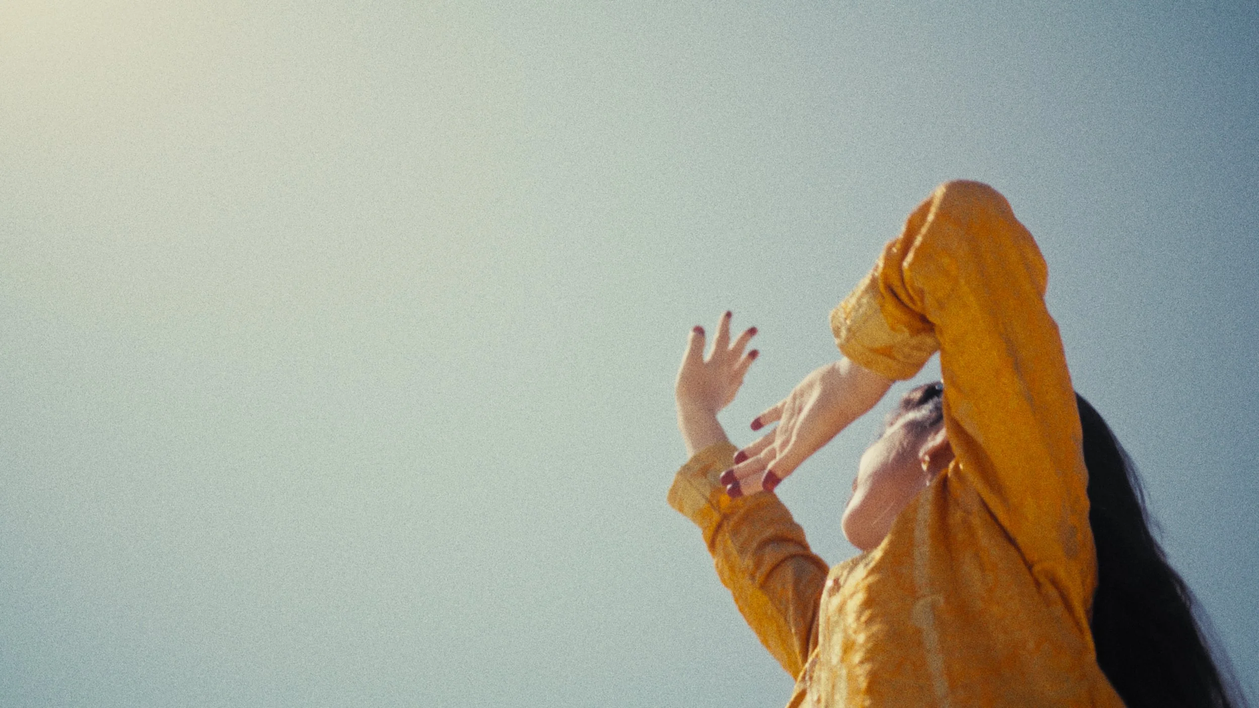 Land Of Dreamers Who Do