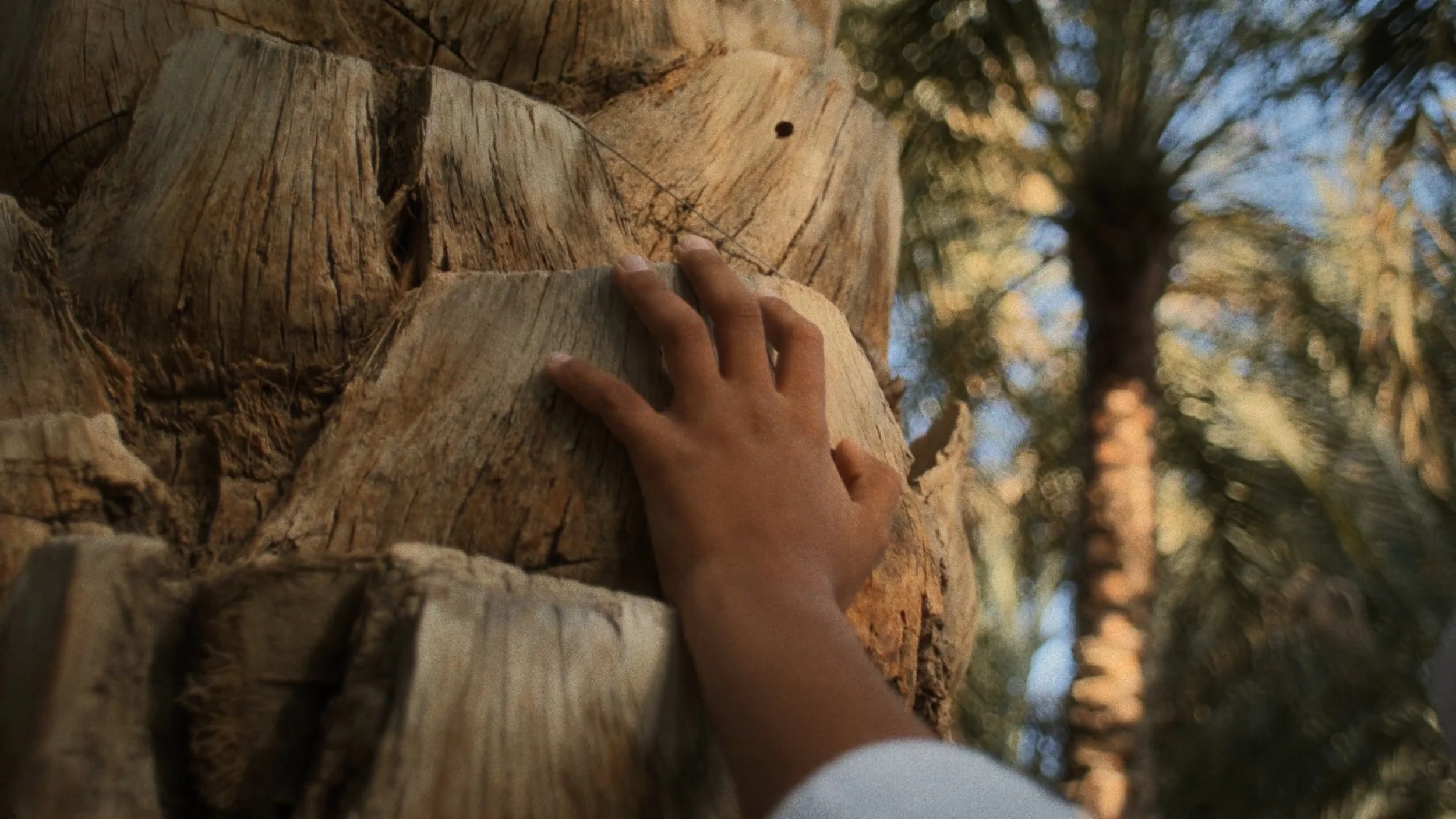 Year Of Sustainability / Trailer