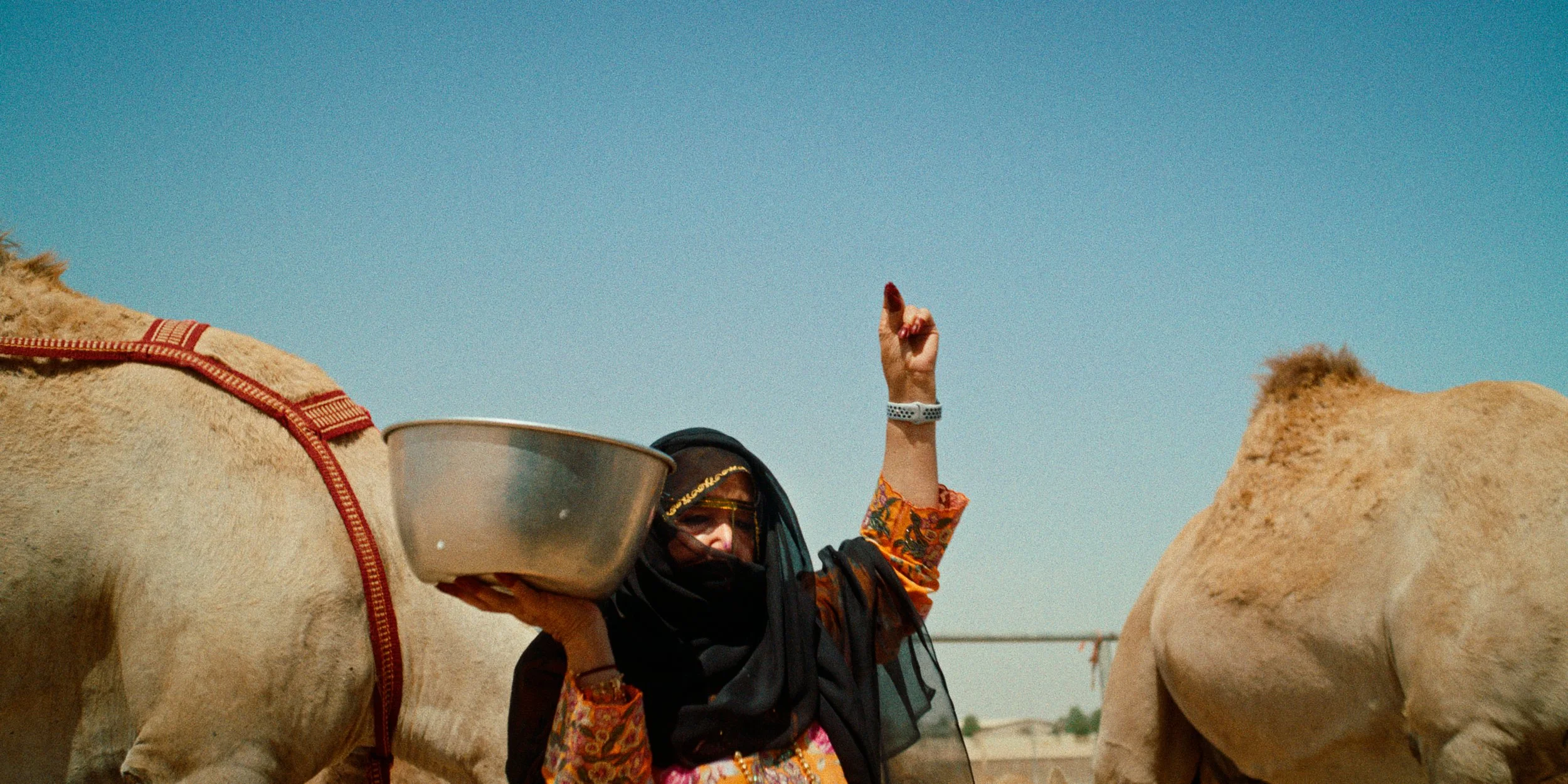 Year Of Sustainability / Launch FIlm