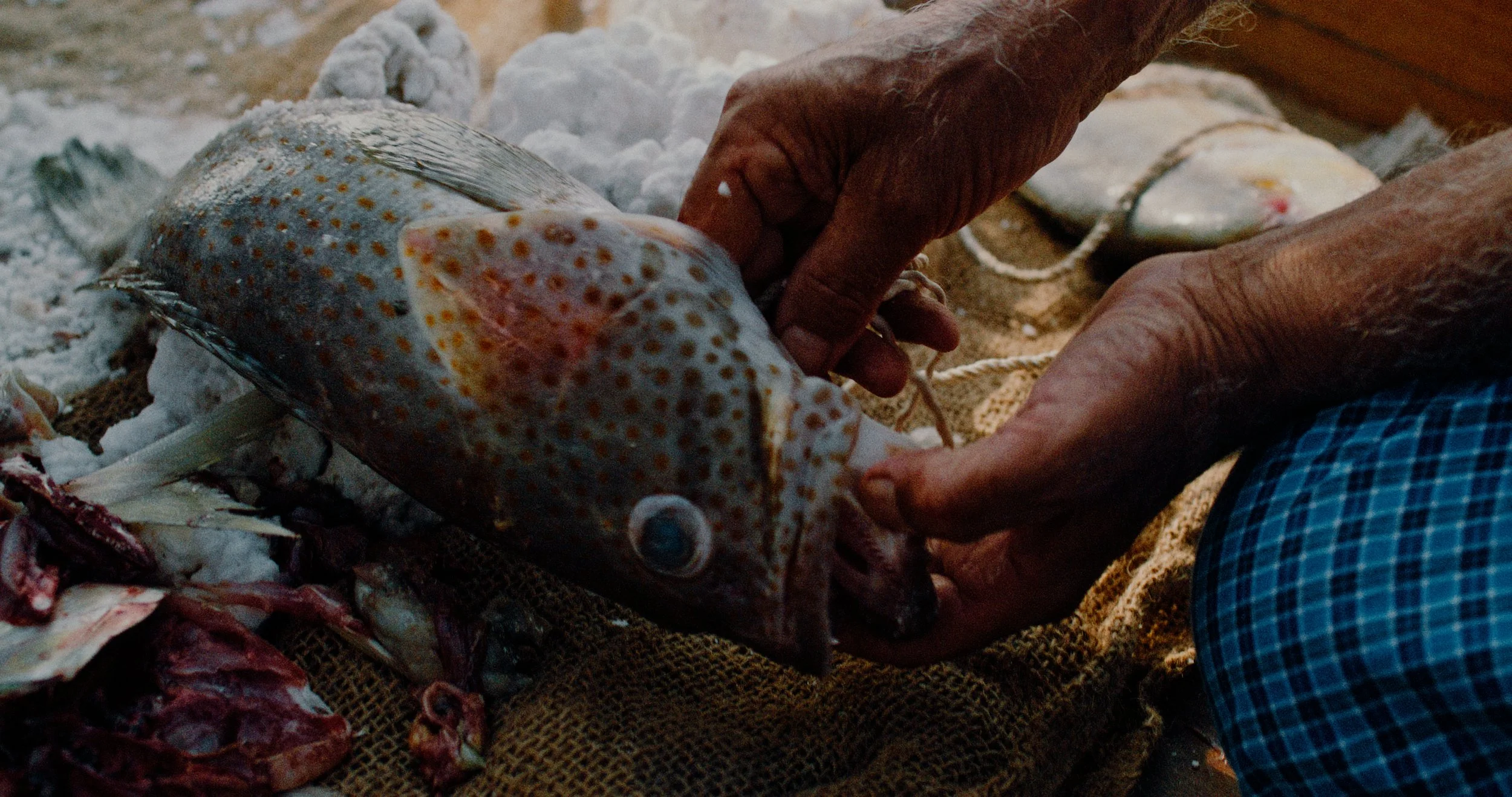 Fishing: Protocol Of The Sea / EP03 / THE WAY OF OUR ANCESTORS