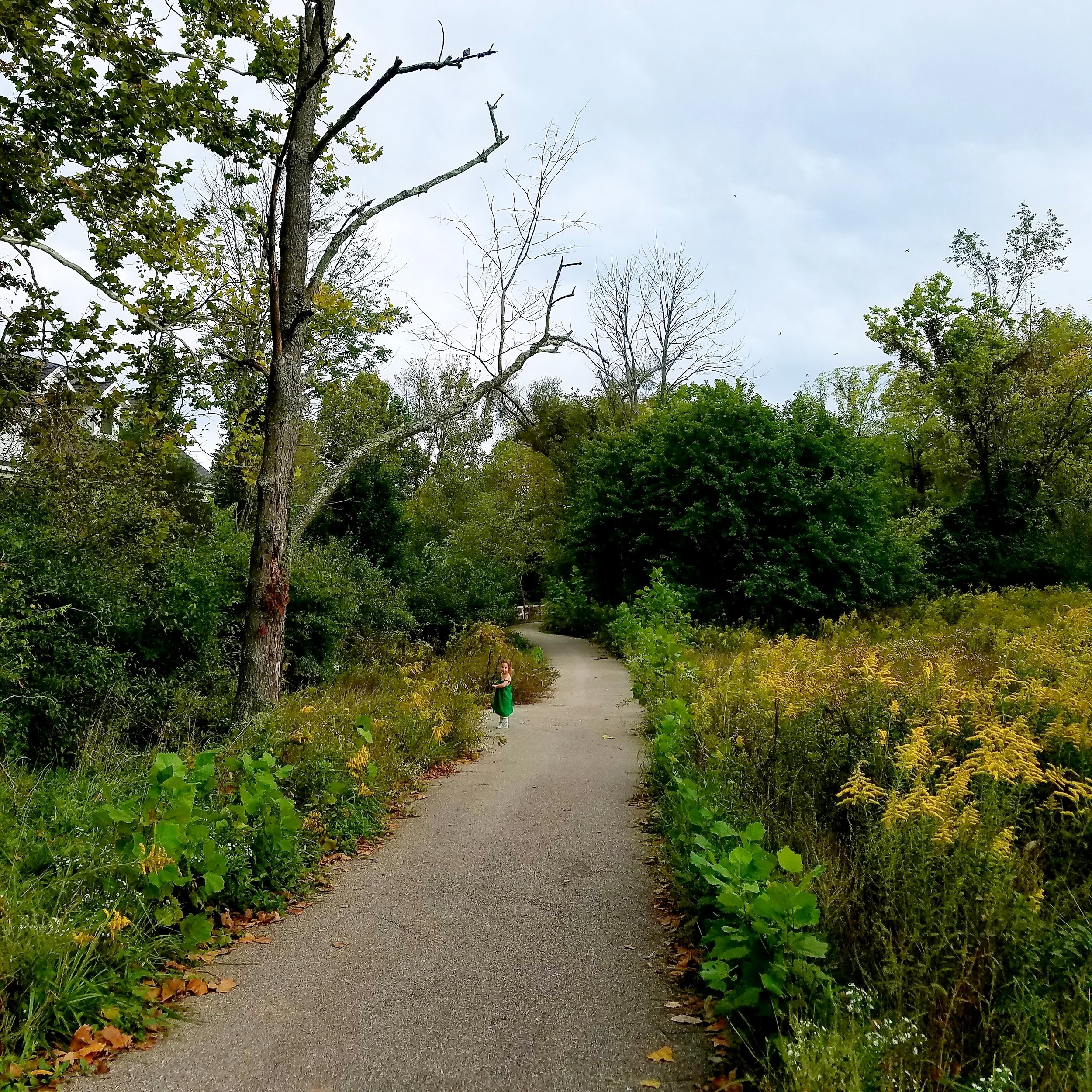 20180928_103958.jpg