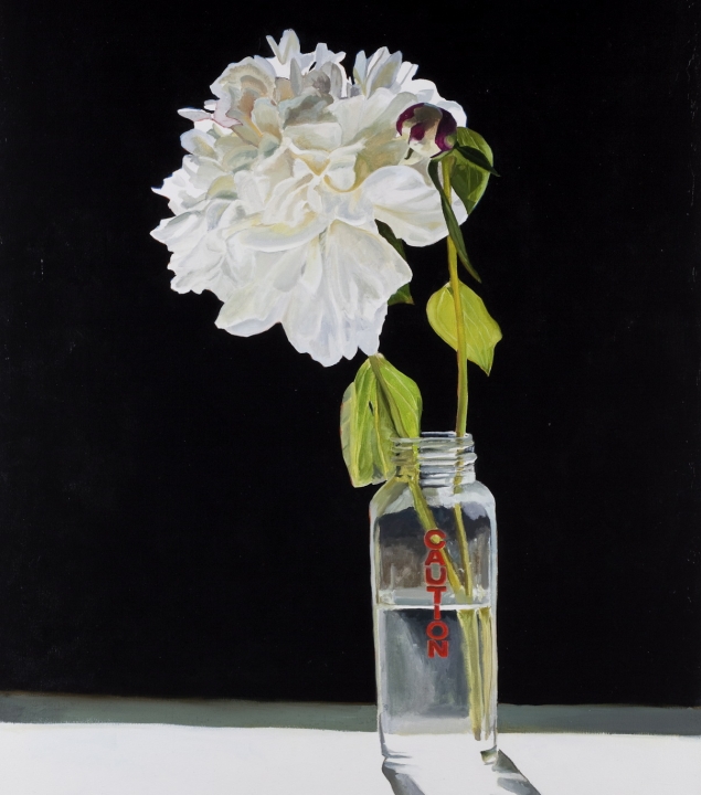 Peonies II 