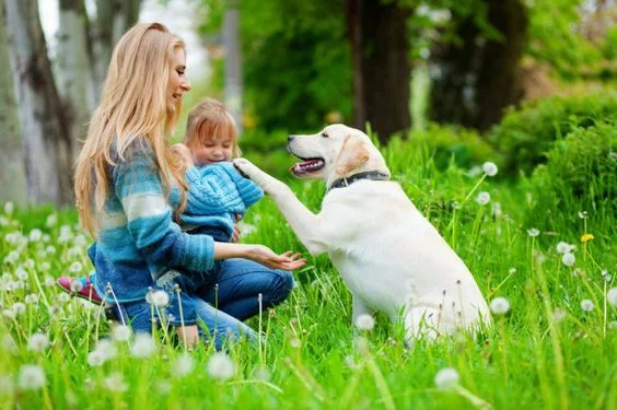 Gut Health And How It Can Help To Prevent Disease blog post positivelywell.com Cherise Pendleton health coaching