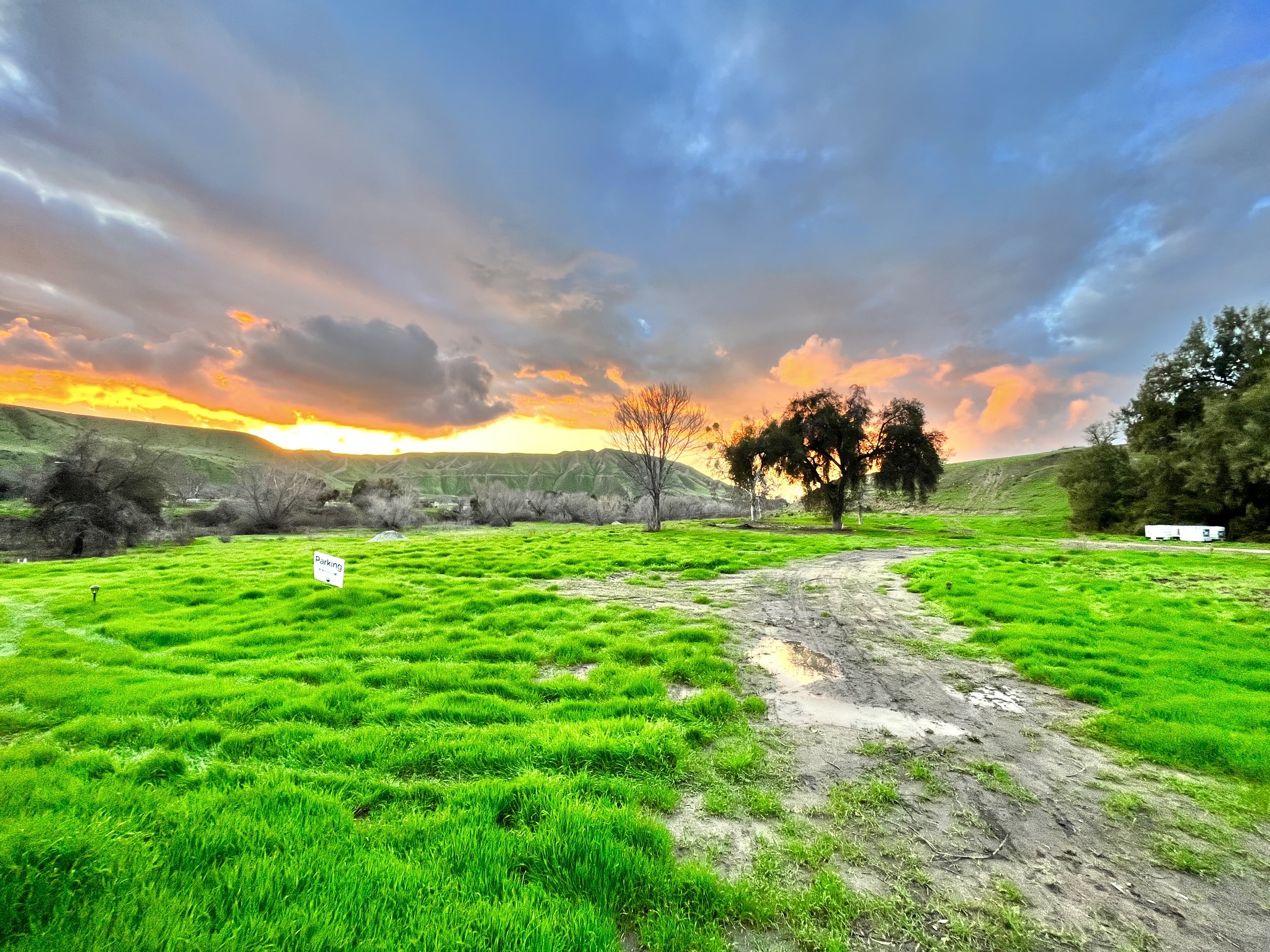 landscape okihi neon.jpg