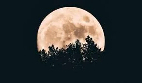 Flower Moon Women’s Circle: Find Your Power Song