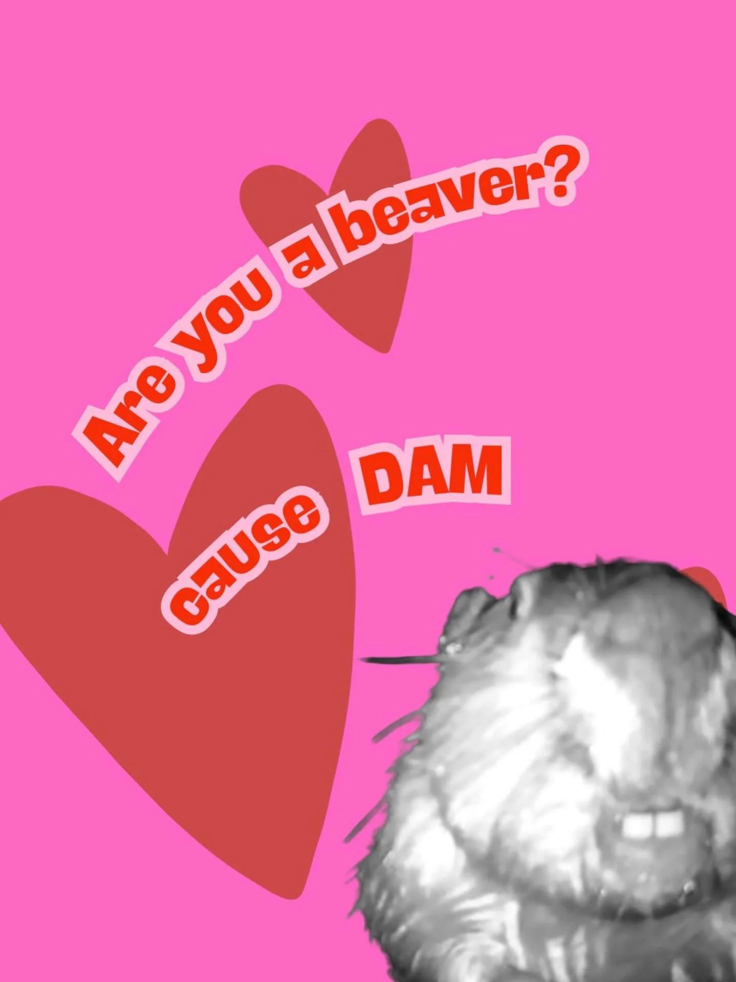 If you celebrate Valentine&rsquo;s or not, we hope you enjoy our genius.

genuis
jenius
geenyus
geneYAS
gee-knee-us
okay fine&hellip; genius 🦫

#beaver #kernriver #punny #valentines