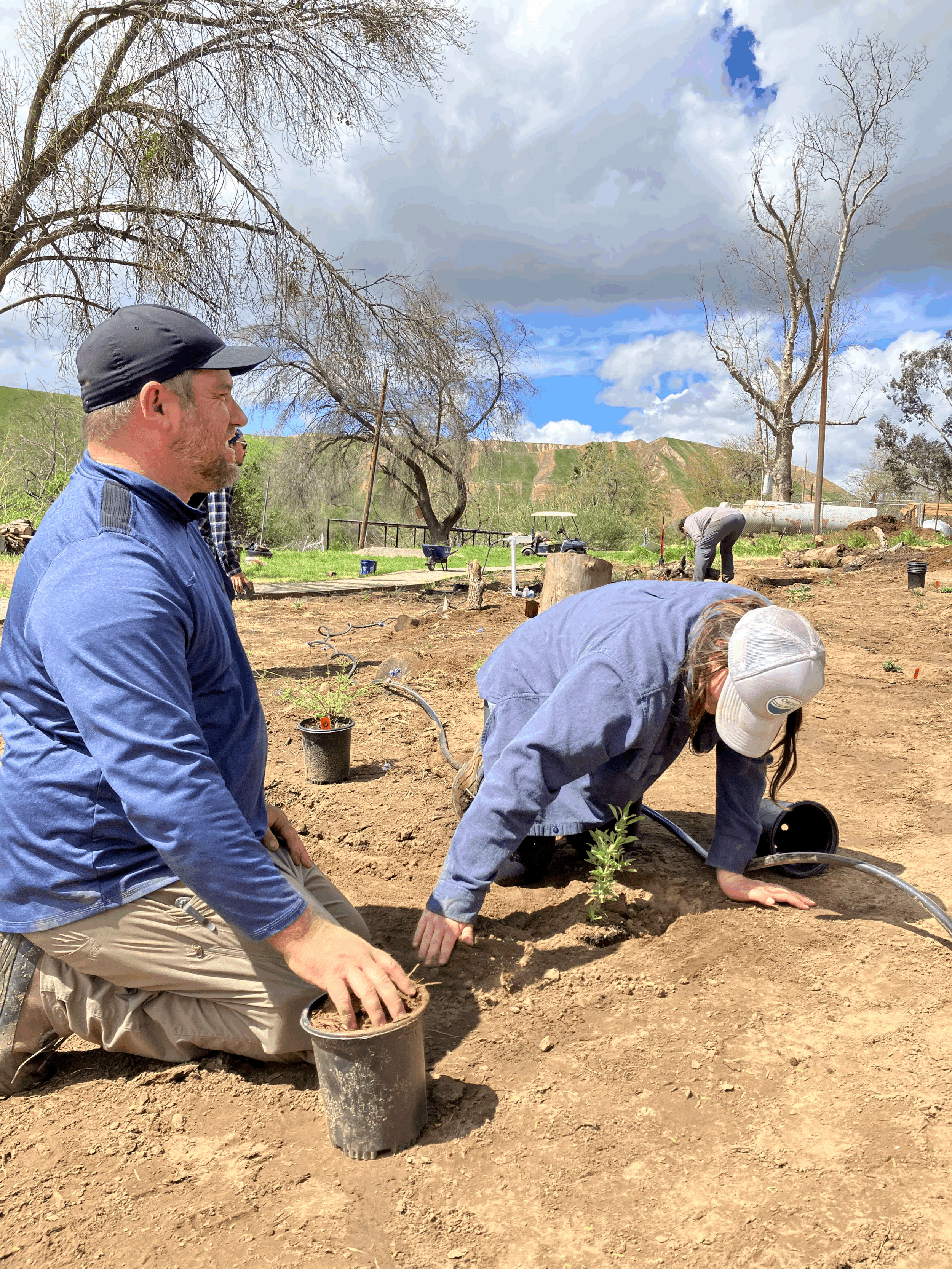 Volunteer Day: Native Garden Planting with Matthew