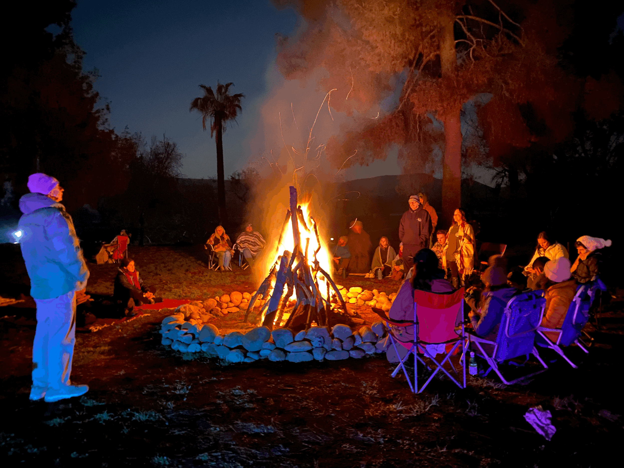  Feral Women Night