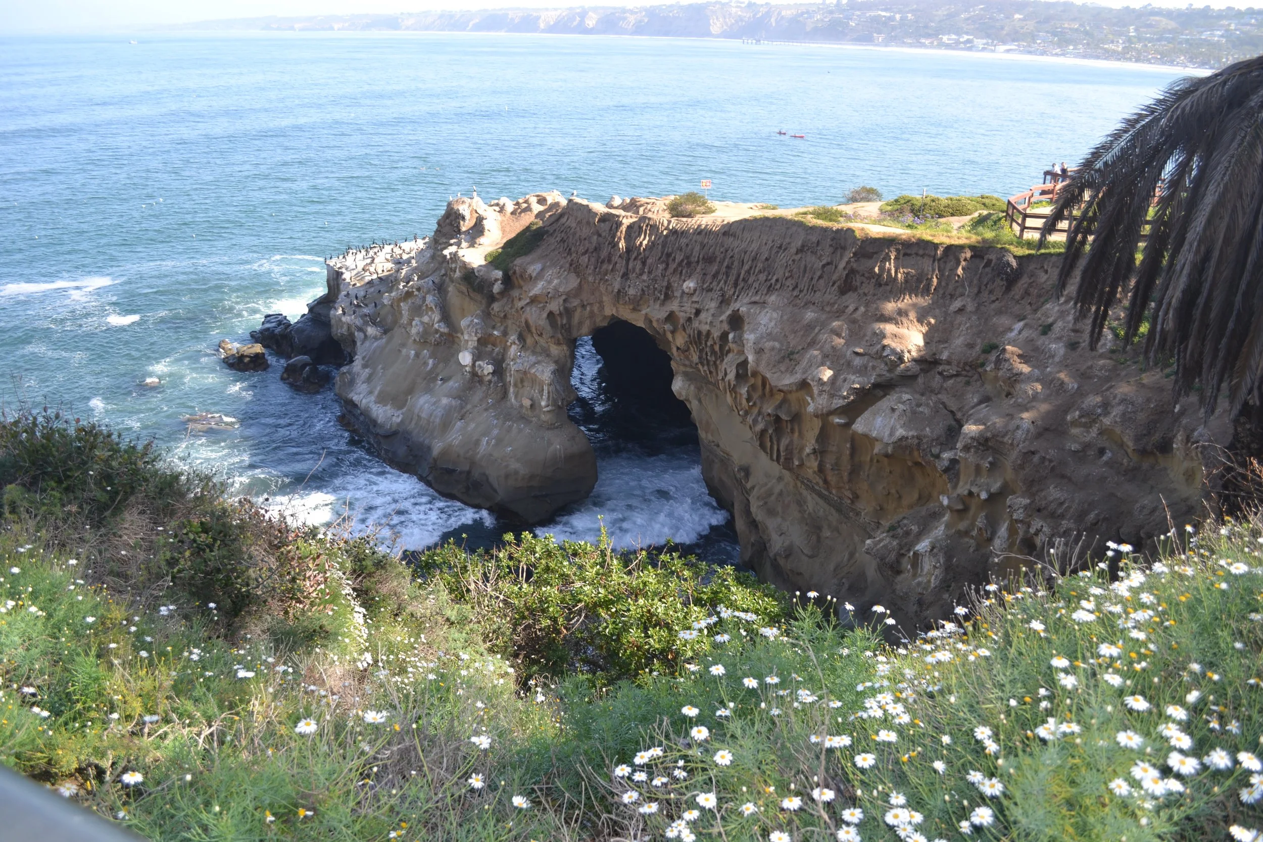 DSC_0658.JPG