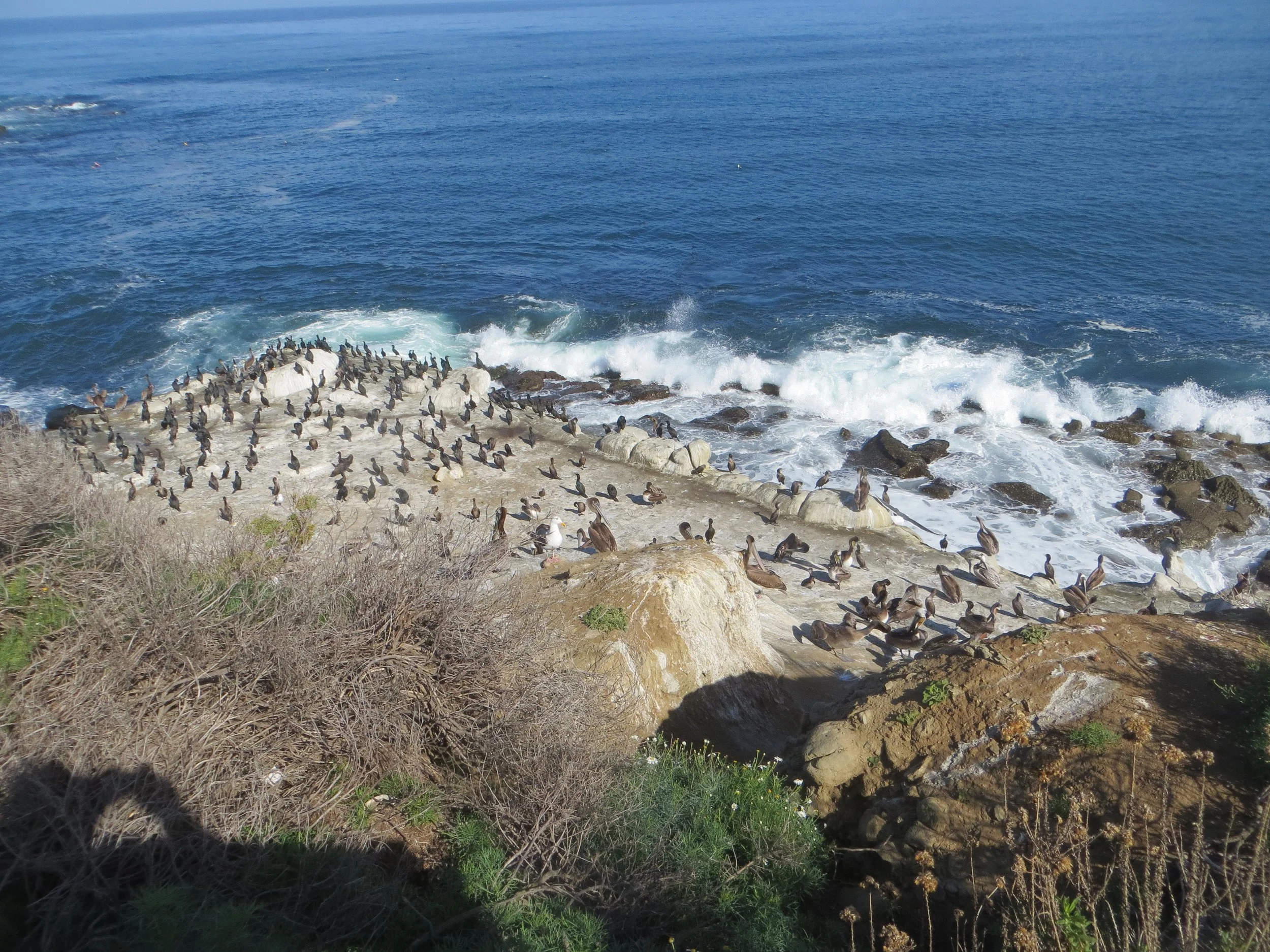 DSC_0676.JPG
