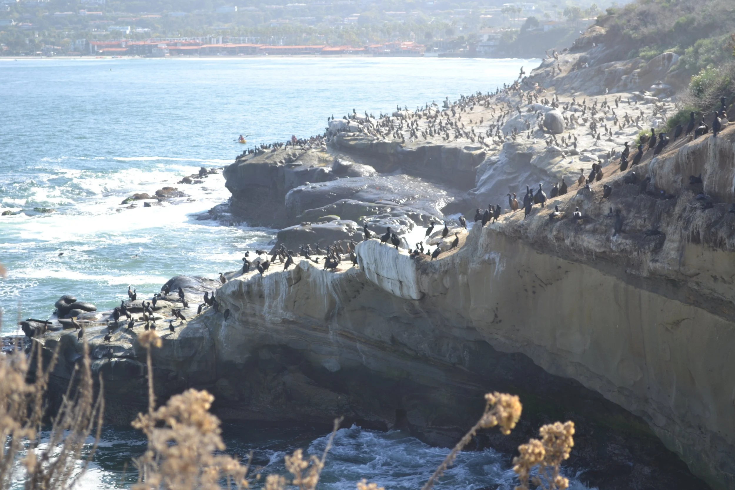 DSC_0687.JPG