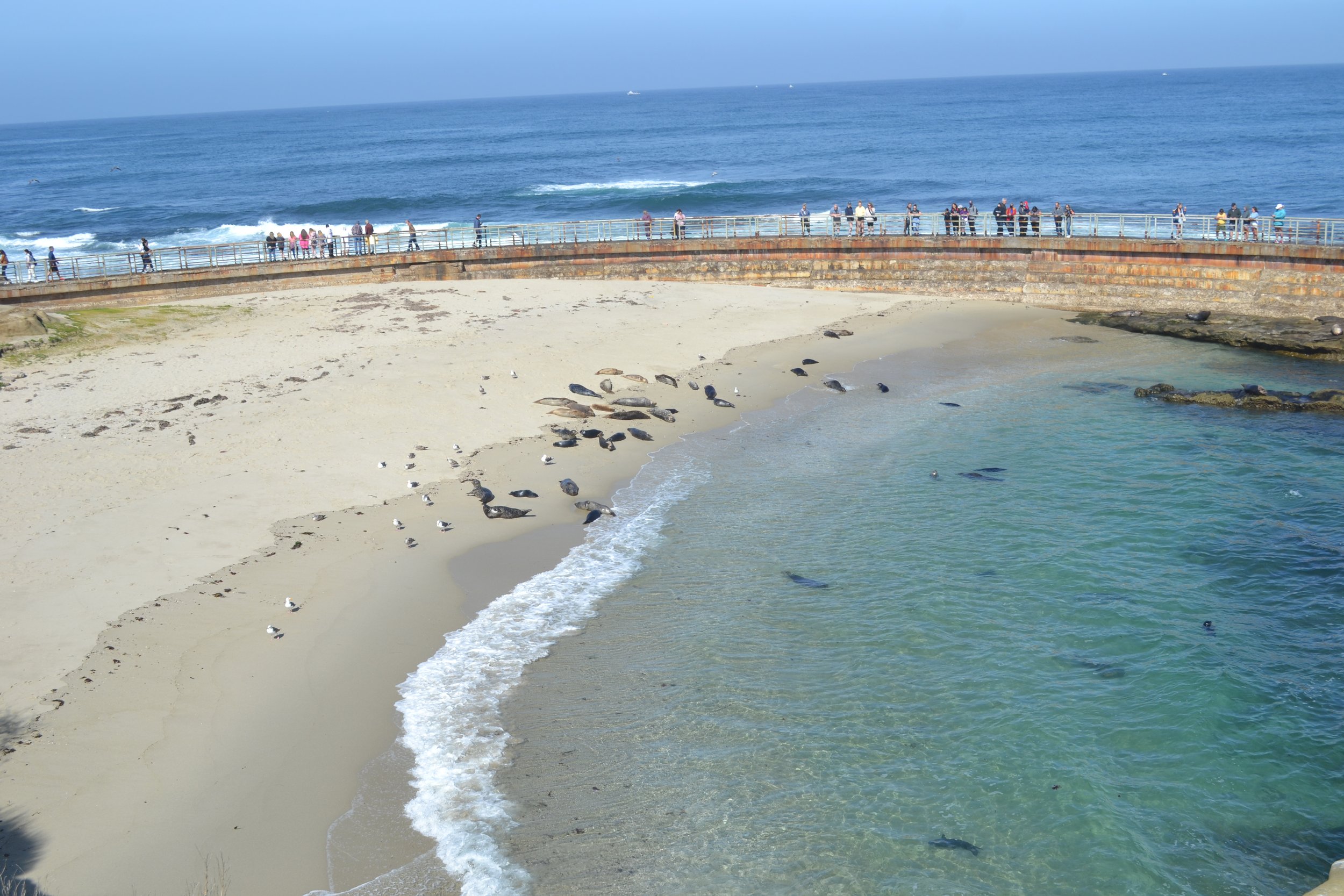 DSC_0708.JPG