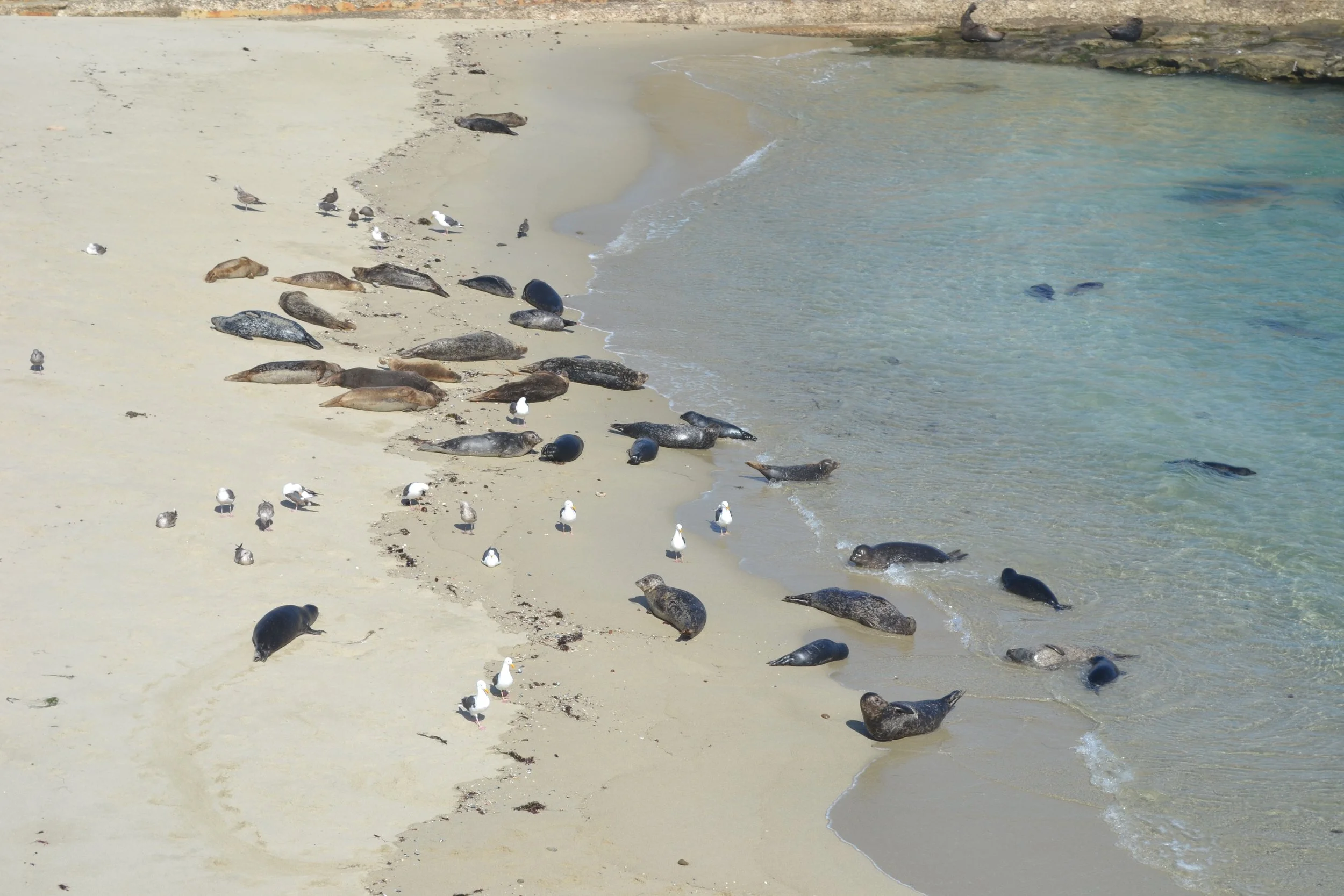 DSC_0716.JPG