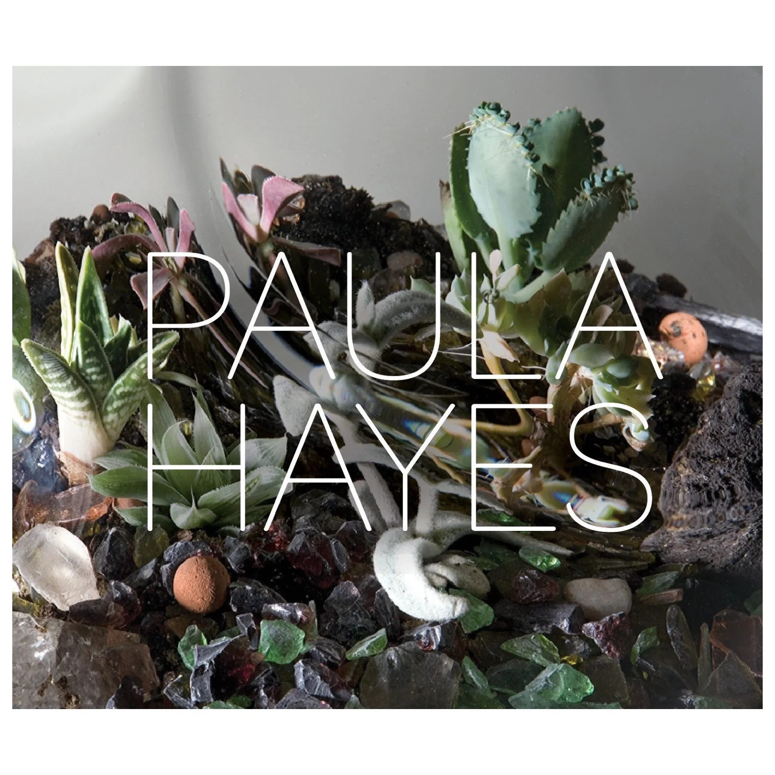 Paula Hayes
