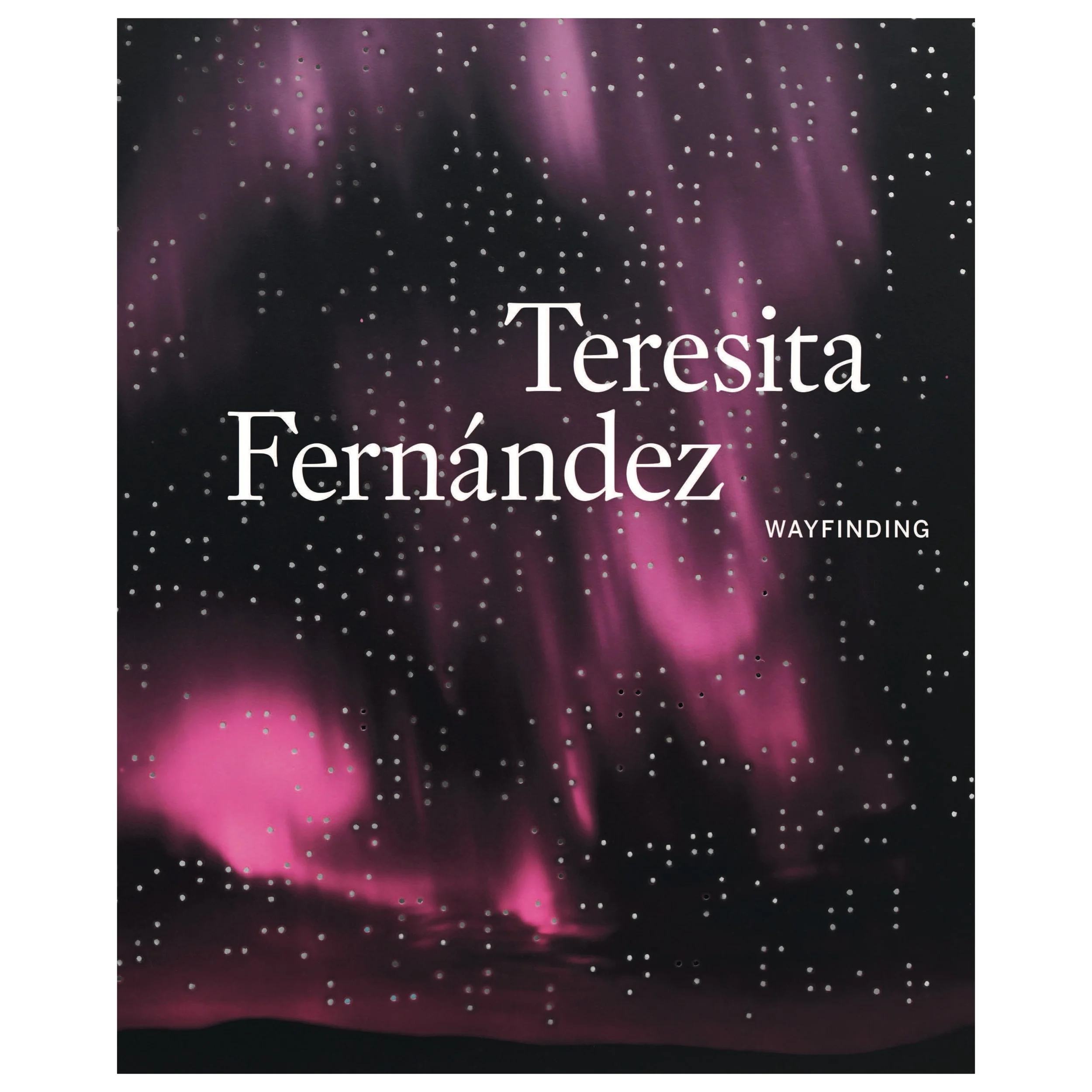 Teresita Fernández: Wayfinding