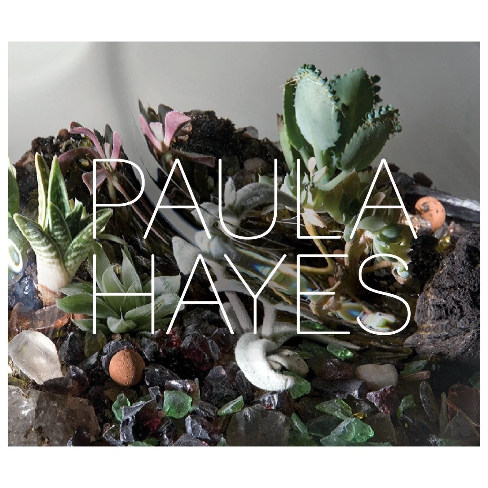 Paula Hayes