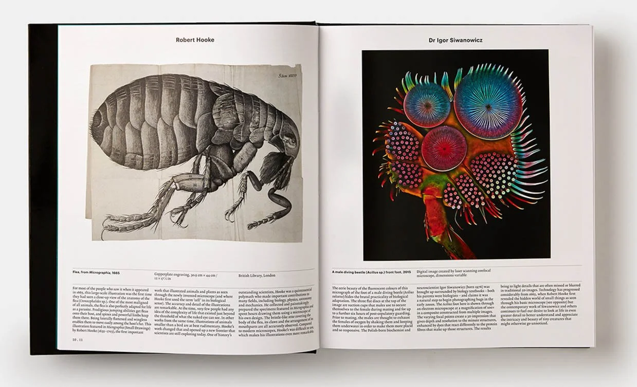 phaidon_animals_book_4.jpg