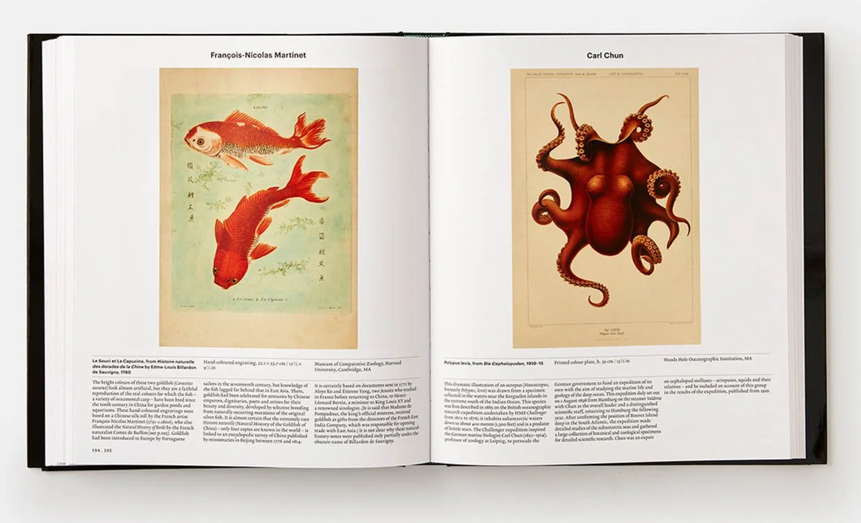 phaidon_animals_book_3.jpg