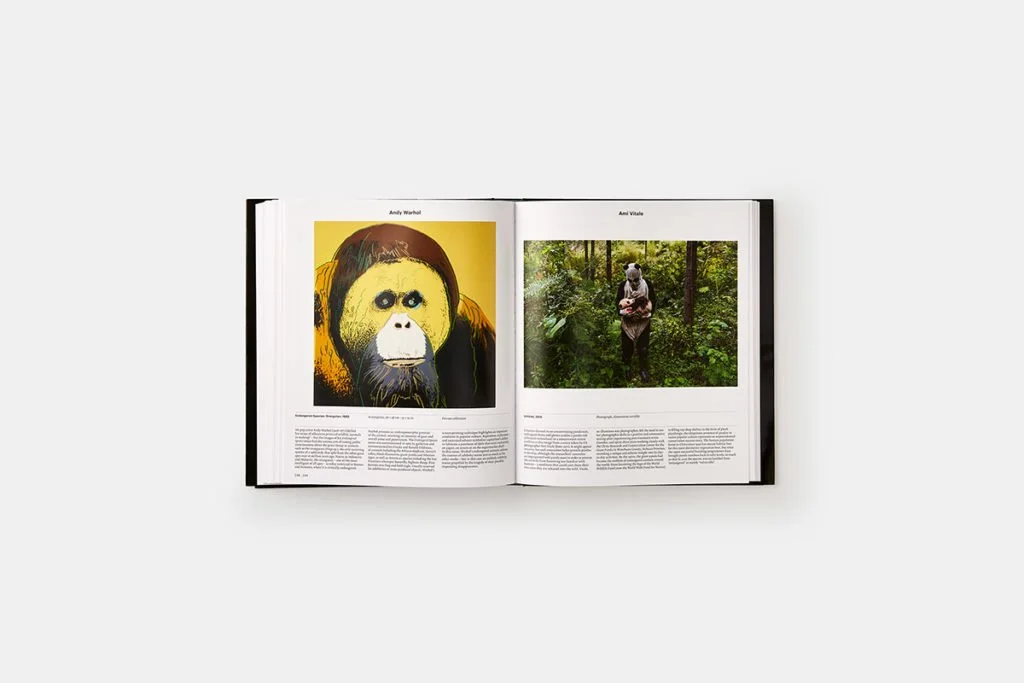 ANIMAL-Conjour-Book-Review-4-1024x683.jpg