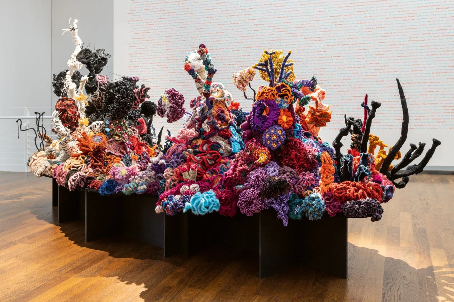 christine-and-margaret-wertheim-value-and-transformation-of-corals-43.jpg