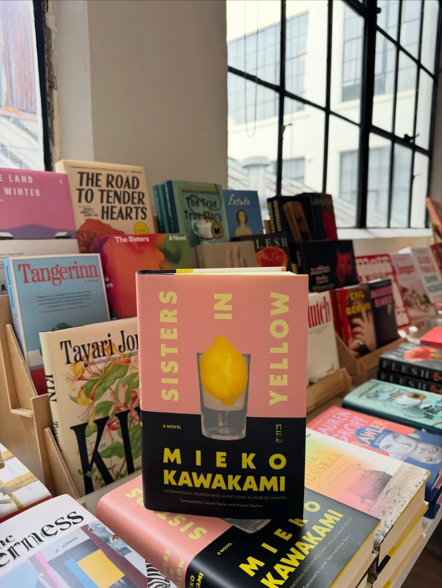 New releases this week include:

Sisters in Yellow

From Mieko Kawakami, award-winning author of Breasts and Eggs, comes a bold novel of sacrifice and the tumultuous bonds of sisterhood, set in the gritty Tokyo of the 1990s. &ldquo;I can never forget