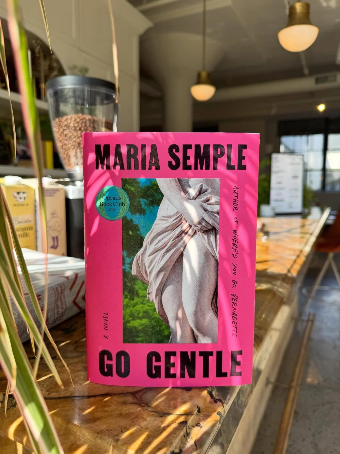 Love a new release Tuesday!

Maria Semple, New York Times bestselling author of Where&rsquo;d You Go, Bernadette, returns to form in her most exuberant and life-affirming novel yet with the story of one woman&rsquo;s cheerful determination to live a 