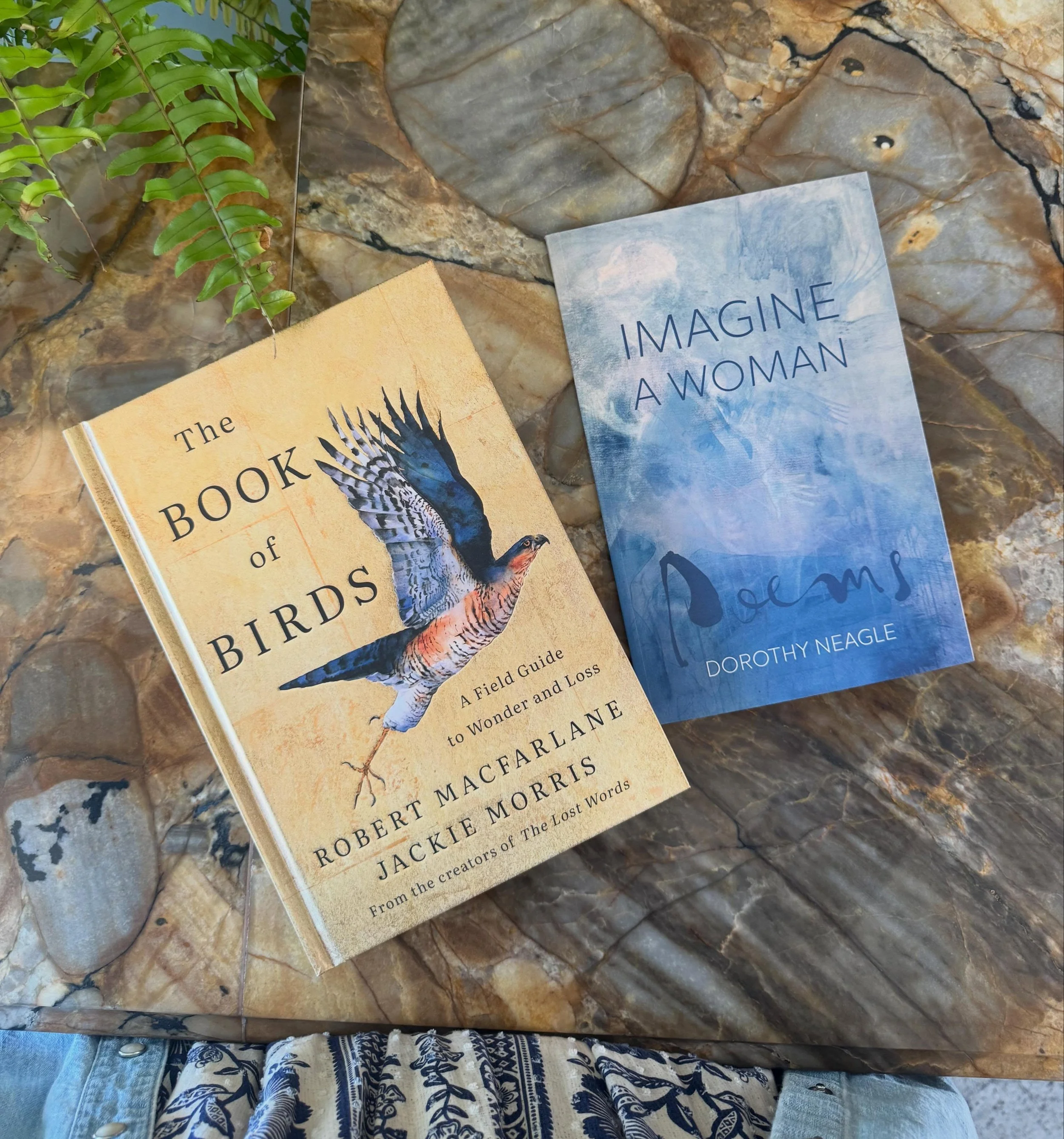 Today brings us a couple of very special new books:

The Book of Birds: A Field Guide to Wonder and Loss by Robert MacFarlane &amp; Jackie Morris is a beautifully illustrated book that shows readers not just how to identify birds, but also how to ide