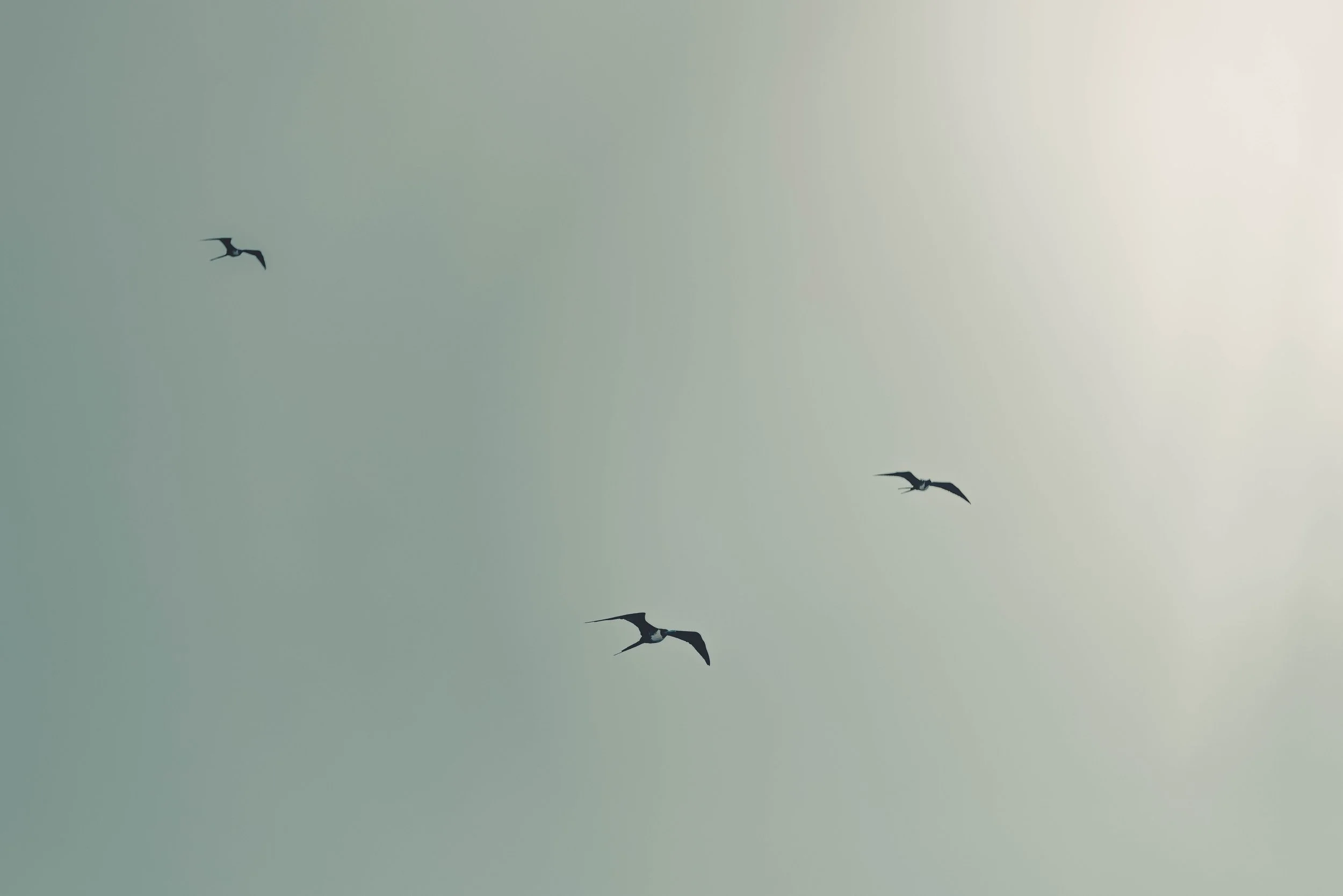 193A6502.jpg