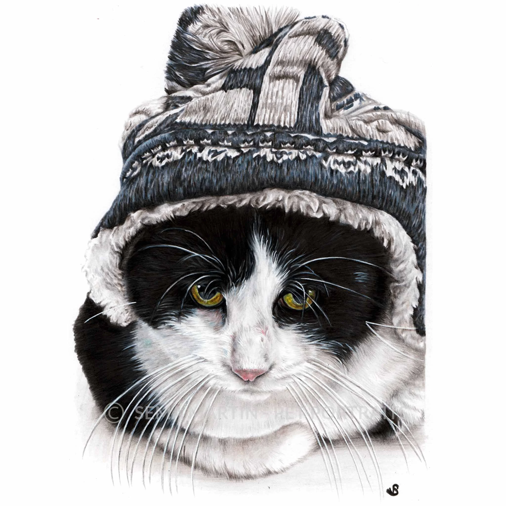 'Luna Lovegroove' - Malta, 8.3 x 11.7 inches, 2018, Colour Pencil Cat Portrait by Sema Martin
