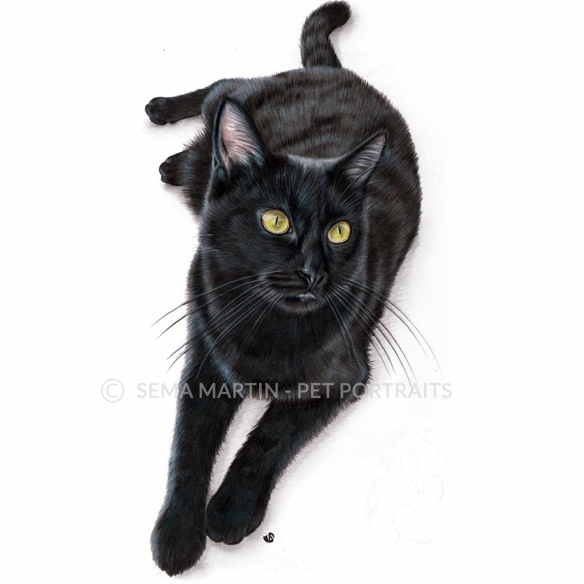 Drawing of Elsa the black cat from the UK (Copy)