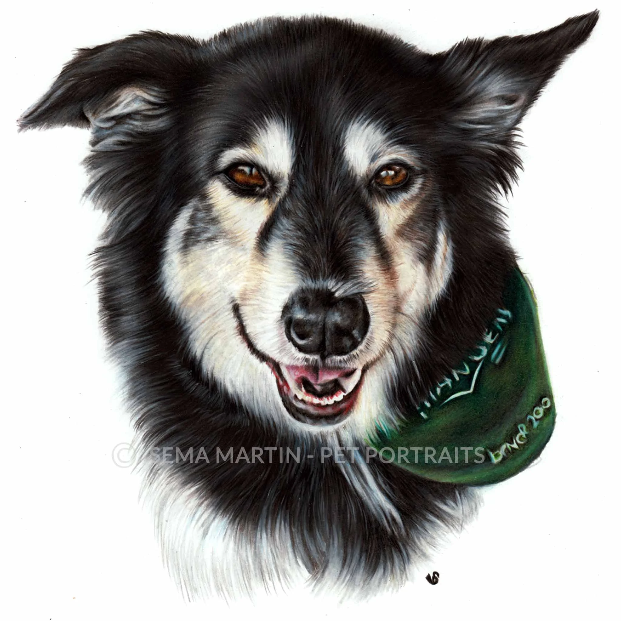 'Dolly' - USA, 8.3 x 11.7 inches, 2018, Colour Pencil Dog Portrait by Sema Martin