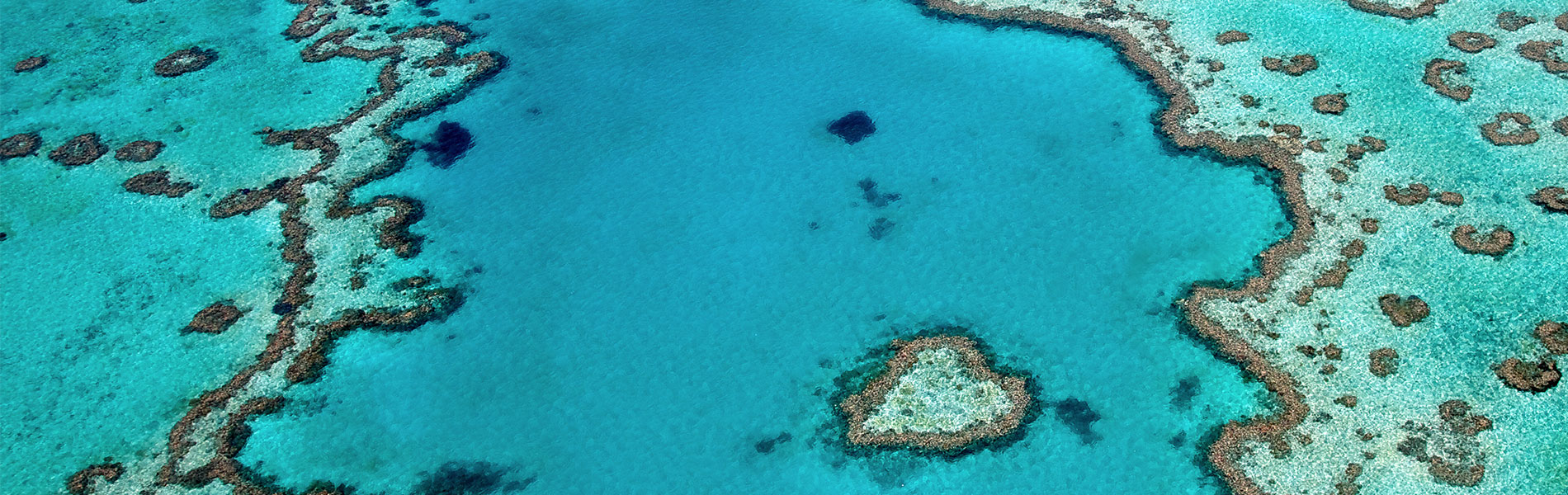 Australia-Queensland-Reef-Whitsundays-event-feature-banner.jpg
