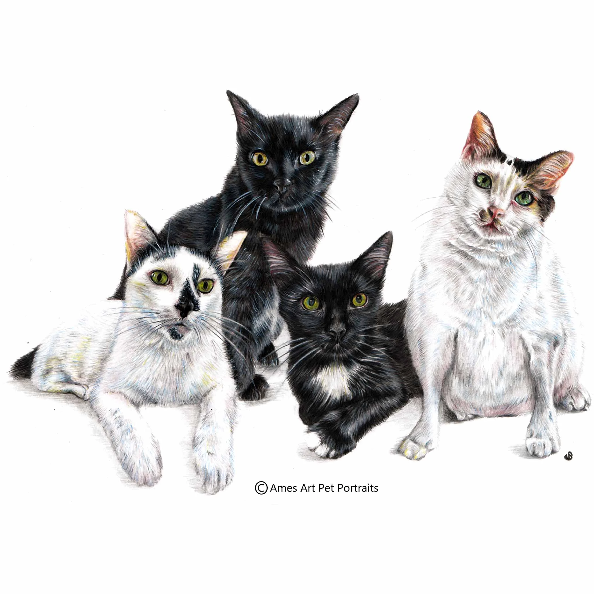 'Stitch, Quiche, Poopies and Oceanz' - Singapore, 11.7 x 16.5 in, 2017, Colour Pencil Cat Portrait