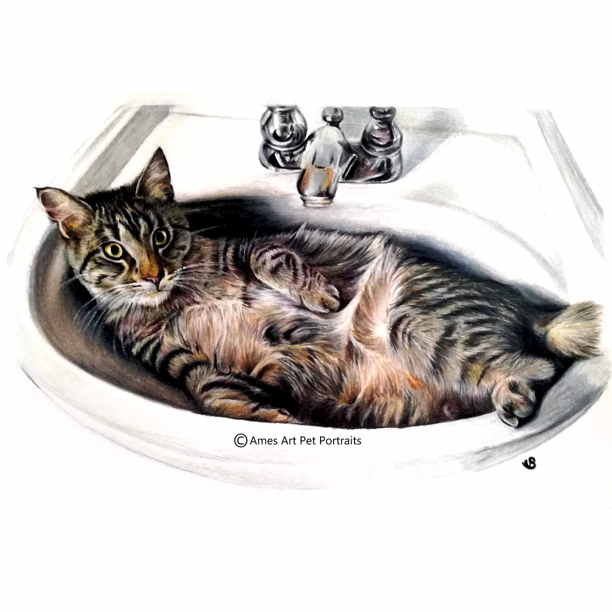 'Huxley Bean Fin' - USA, 8.3 x 11.7 inches, 2017, Color Pencil Cat Portrait
