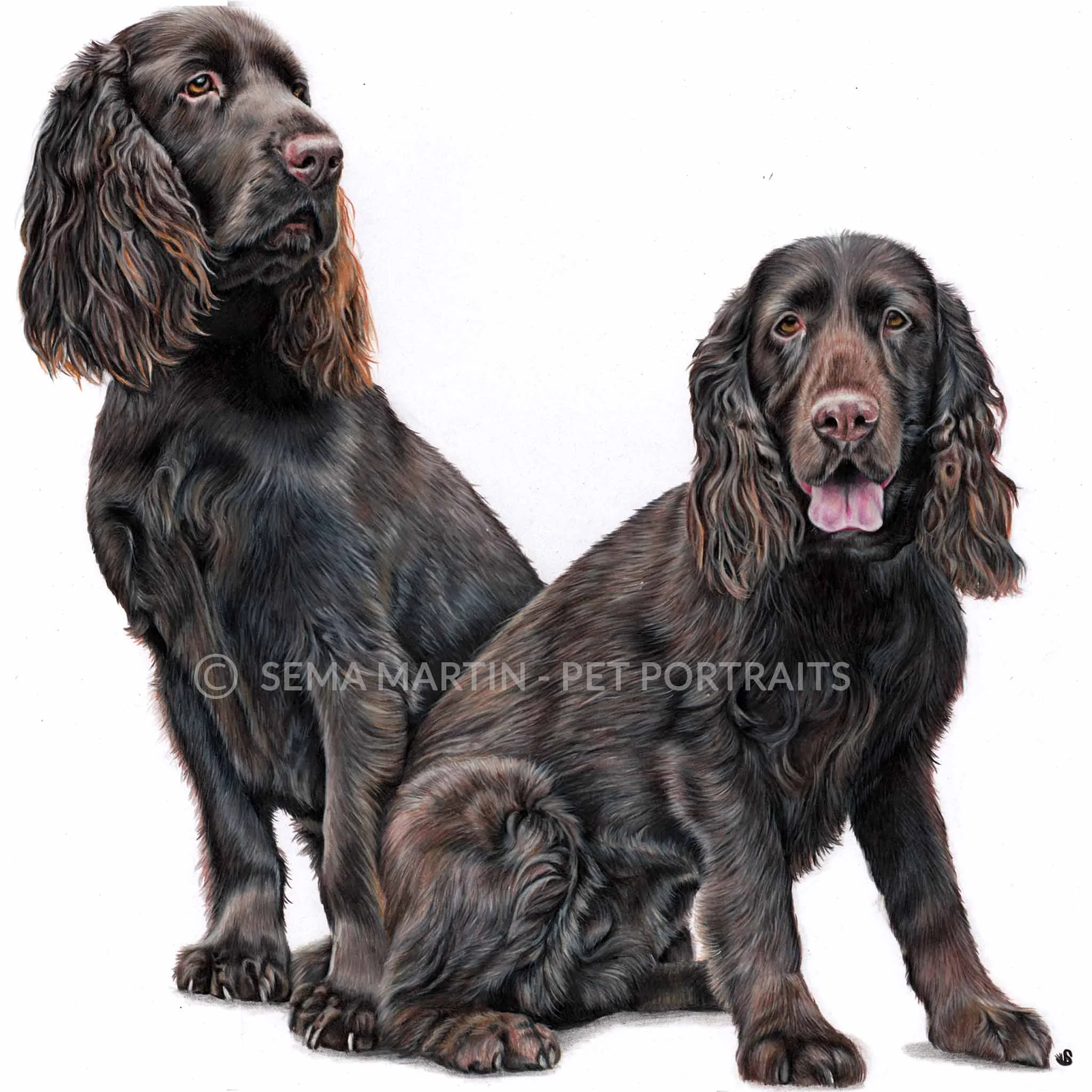 'Mo'i & Lea', USA, 16.5 x 23.4 inches, 2018, Color Pencil Dog Portrait