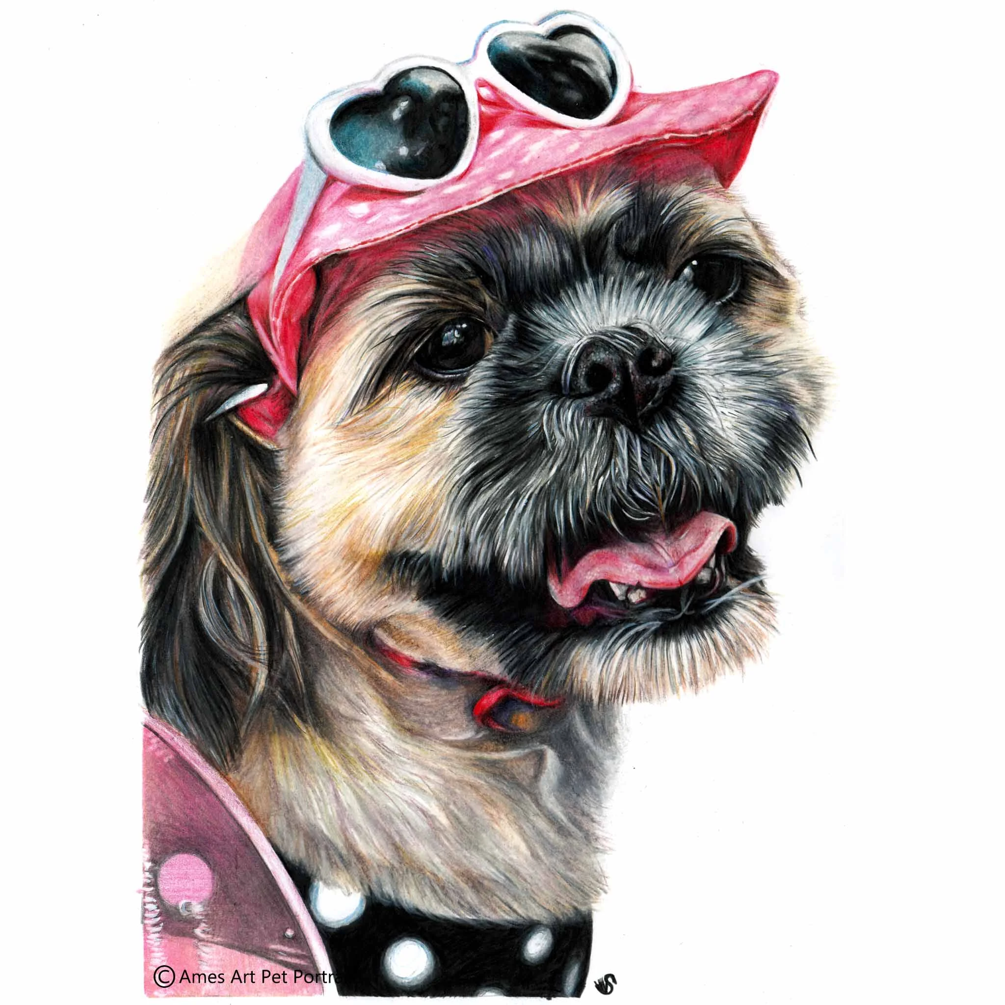 'Mia' - AUS, 11.7 x 16.5 inches, 2017, Colour Pencil Dog Portrait
