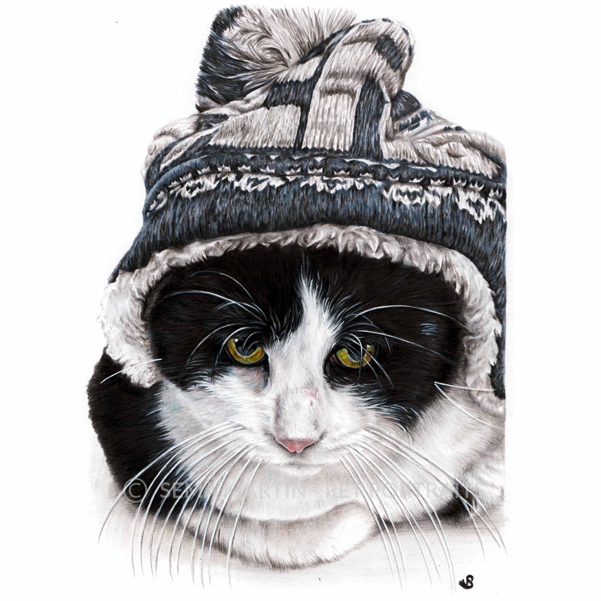 colour pencil cat portrait of tuxedo cat in a wooly hat with yellow eyes by artist sema martin