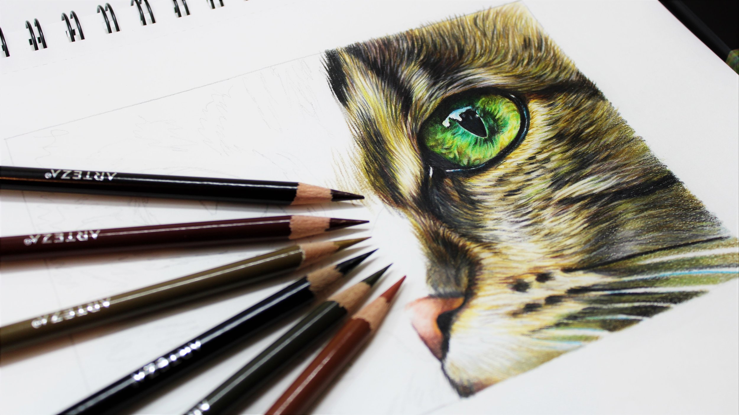 How To: Use Arteza Art Colour Pencils — Pet Portraits by Sema Martin