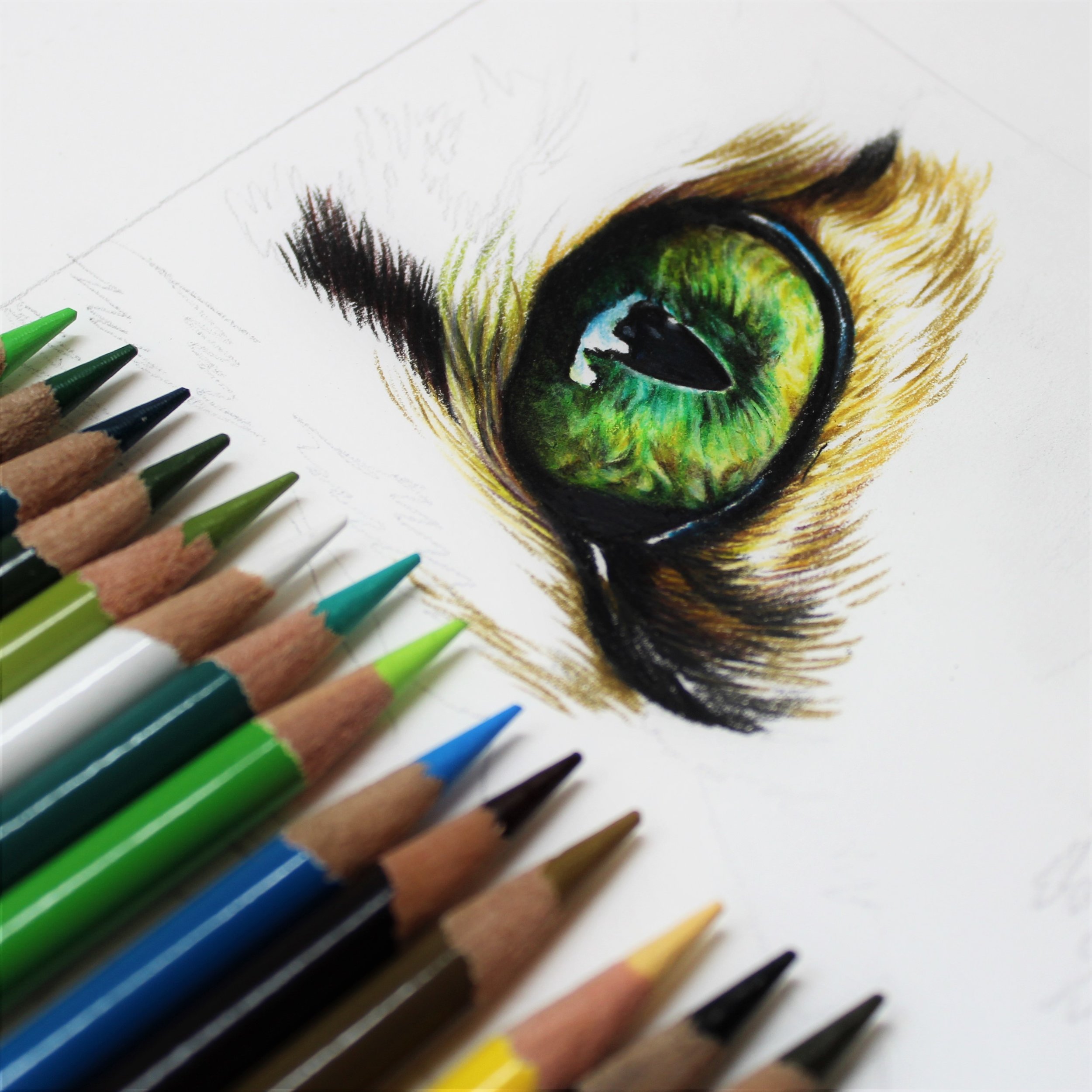 Colored Pencil Drawing Hacks - 10 Tools and Tips 